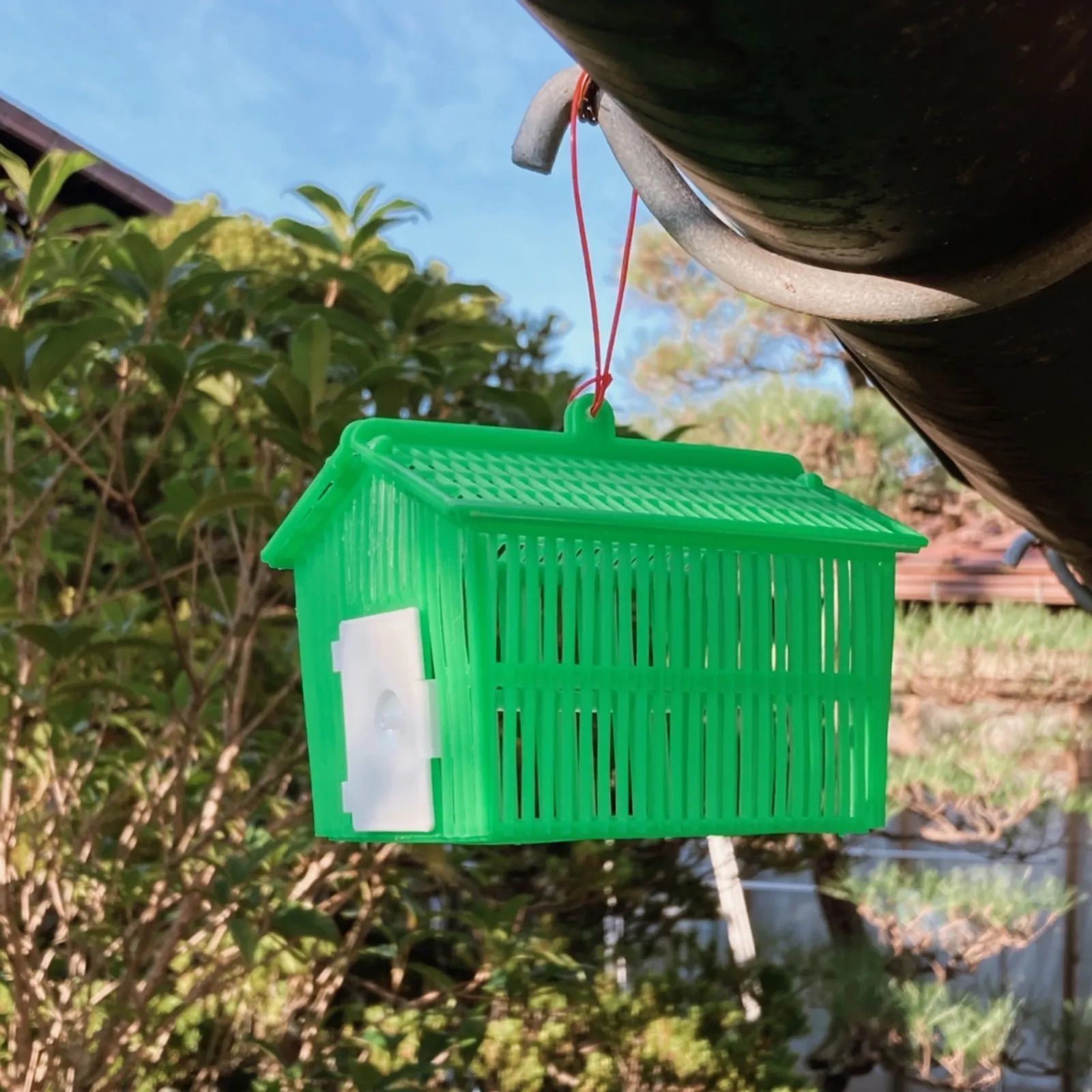 🐞虫かご 昭和レトロ ミニサイズ 黄緑 ひも無し - メルカリ