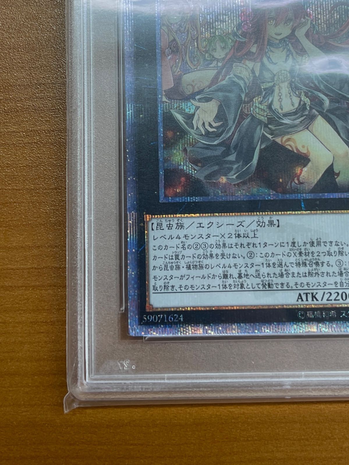 PSA10 鑑定品☆アロメルスの蟲惑魔 20th ETCO-JP045 ☆遊戯王 - メルカリ