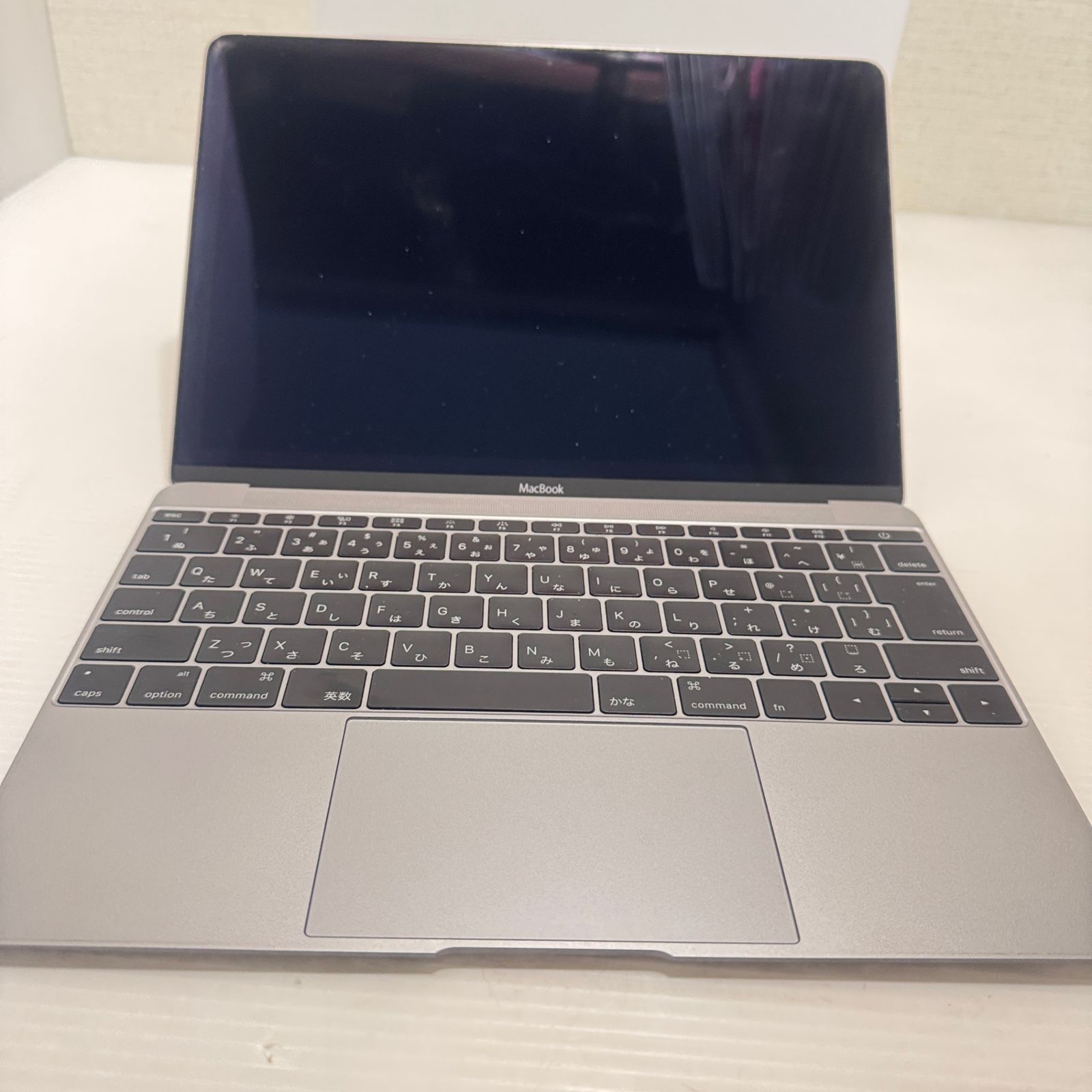 ☆動作確認済み☆ MacBook 2015 Retina 12インチ RAM 8GB 256GB SSD