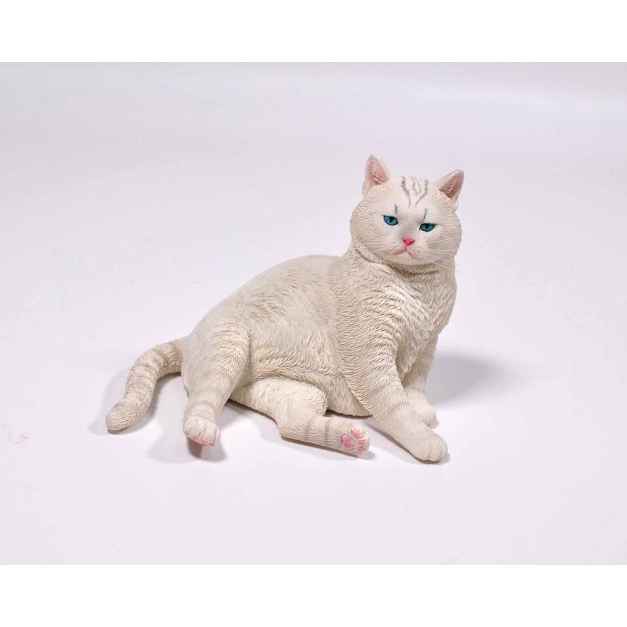 白猫好き 白猫好き 白猫好き 白猫好き 白猫 ZX白