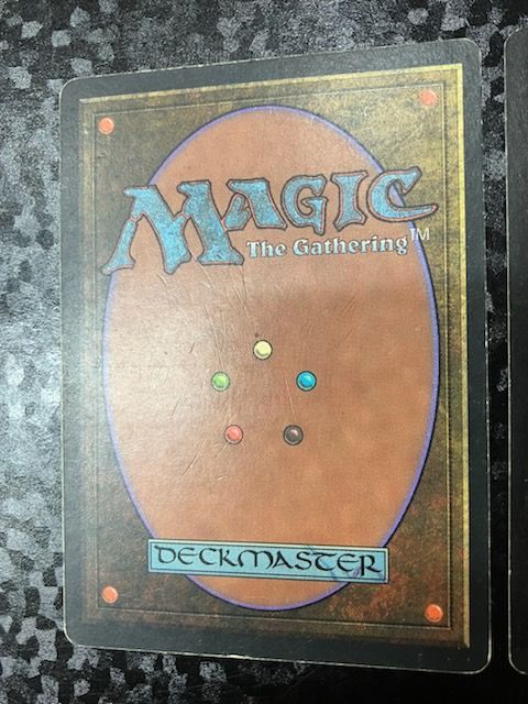 ◎MTG Wasteland/不毛の大地 2枚セット 英語 - メルカリ