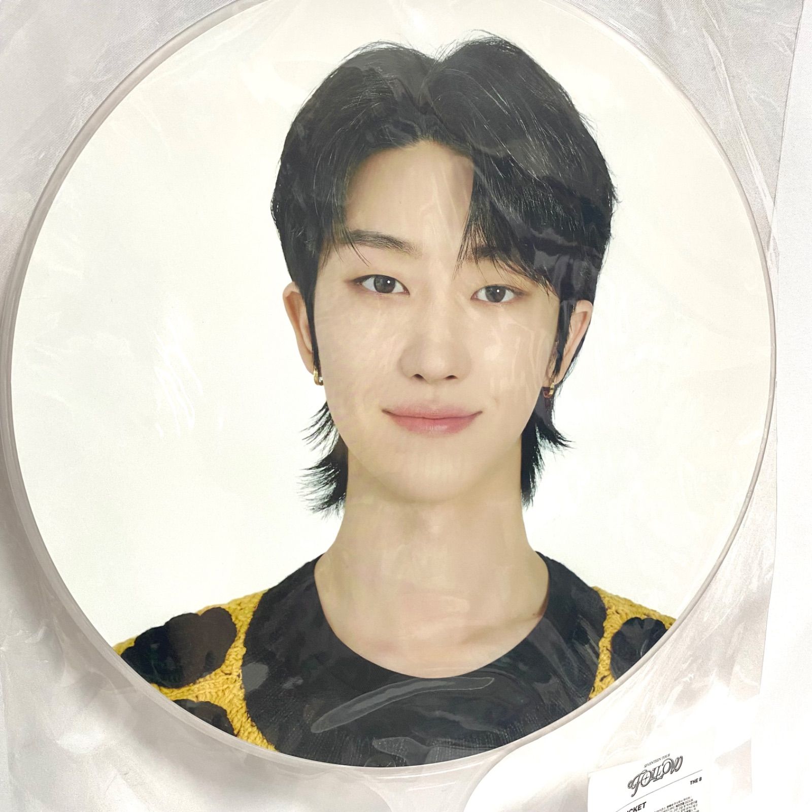 SEVENTEEN follow again ウォヌ 缶バッジ seventeen follow again