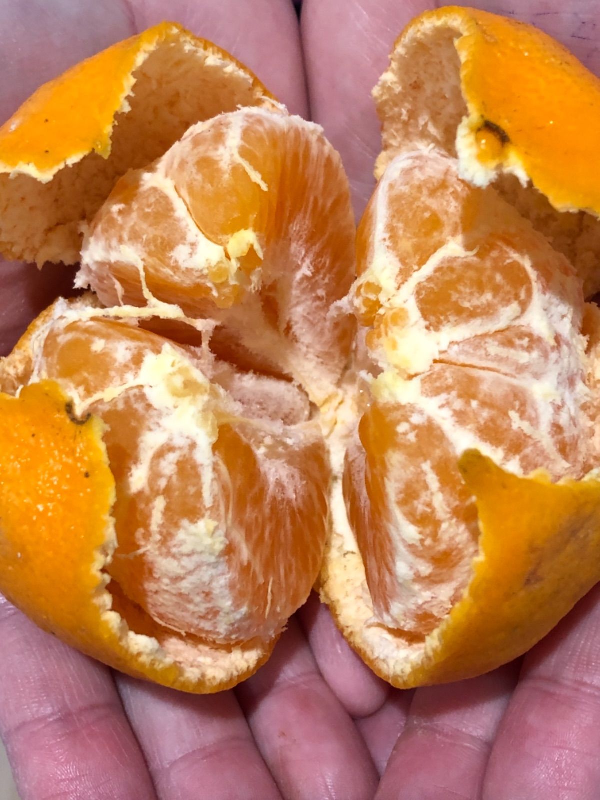 天草産 ポンカン 20kg 家庭用 熊本県産 - メルカリ