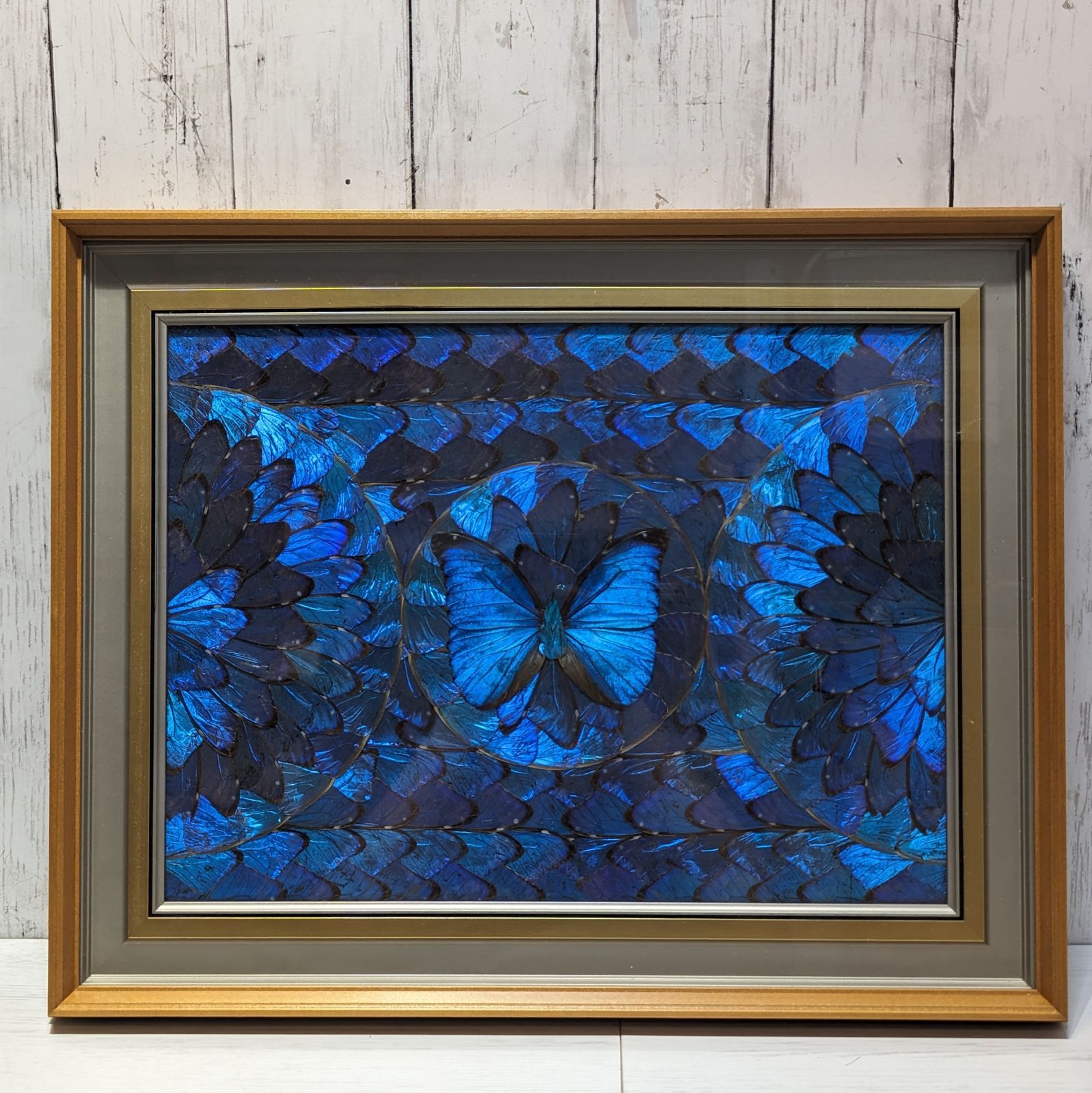 美品】モルフォ蝶 モルフォチョウ 標本 額入り 蝶額 アート 飾り 羽