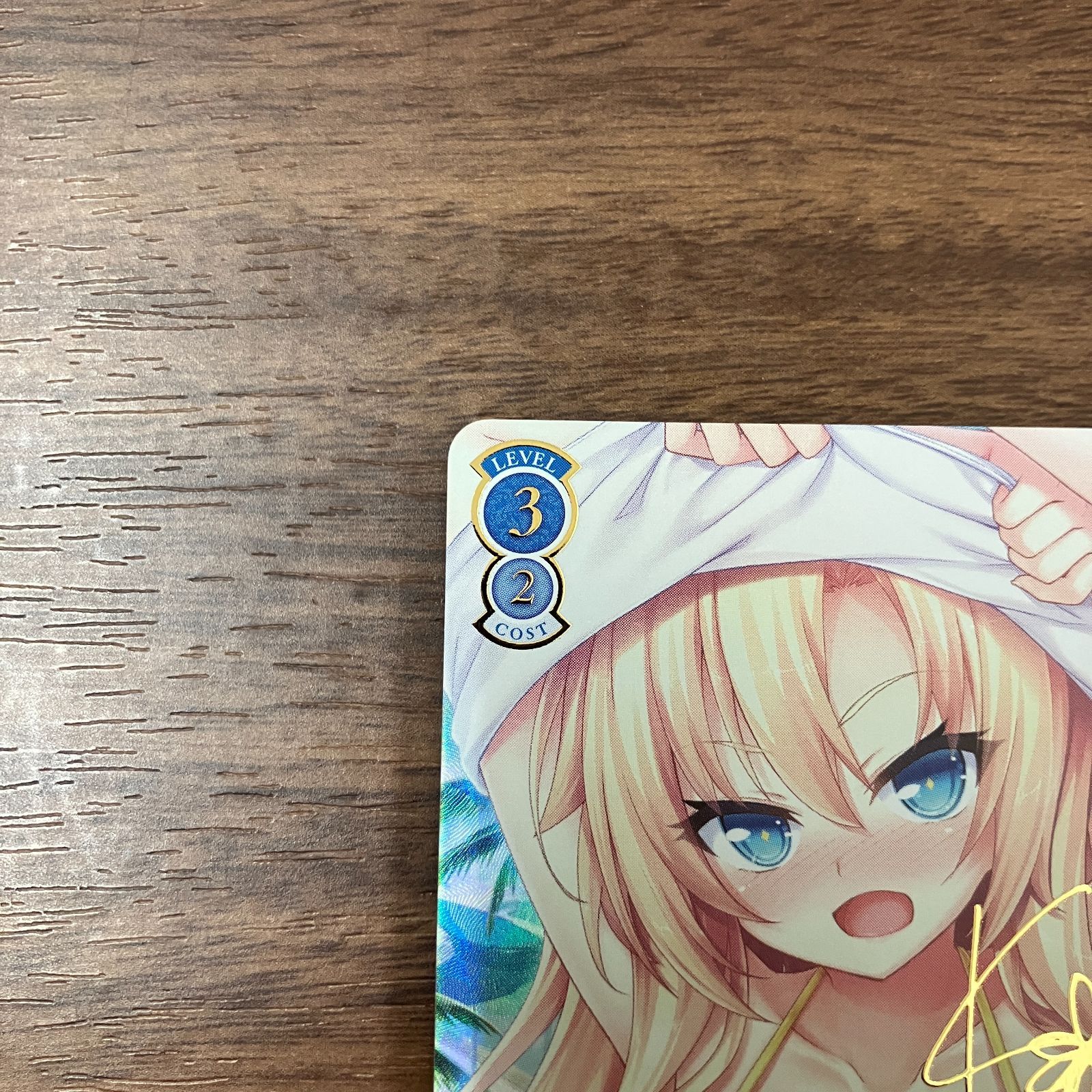 いっしょに国民つくろうね アイリス SSP サイン ヴァイスシュヴァルツ