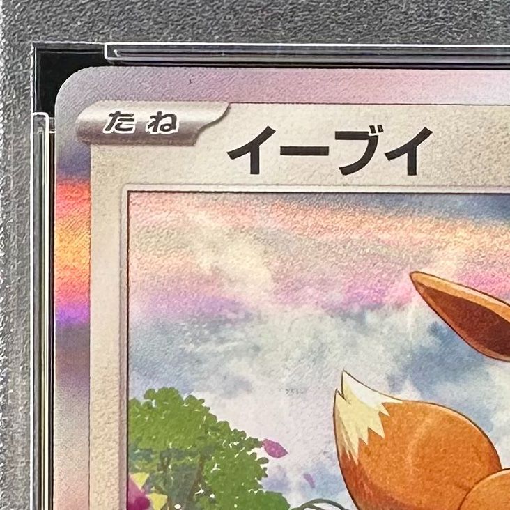 ポケモンカード イーブイ カジュアルバトル ポケモンセンター プロモ