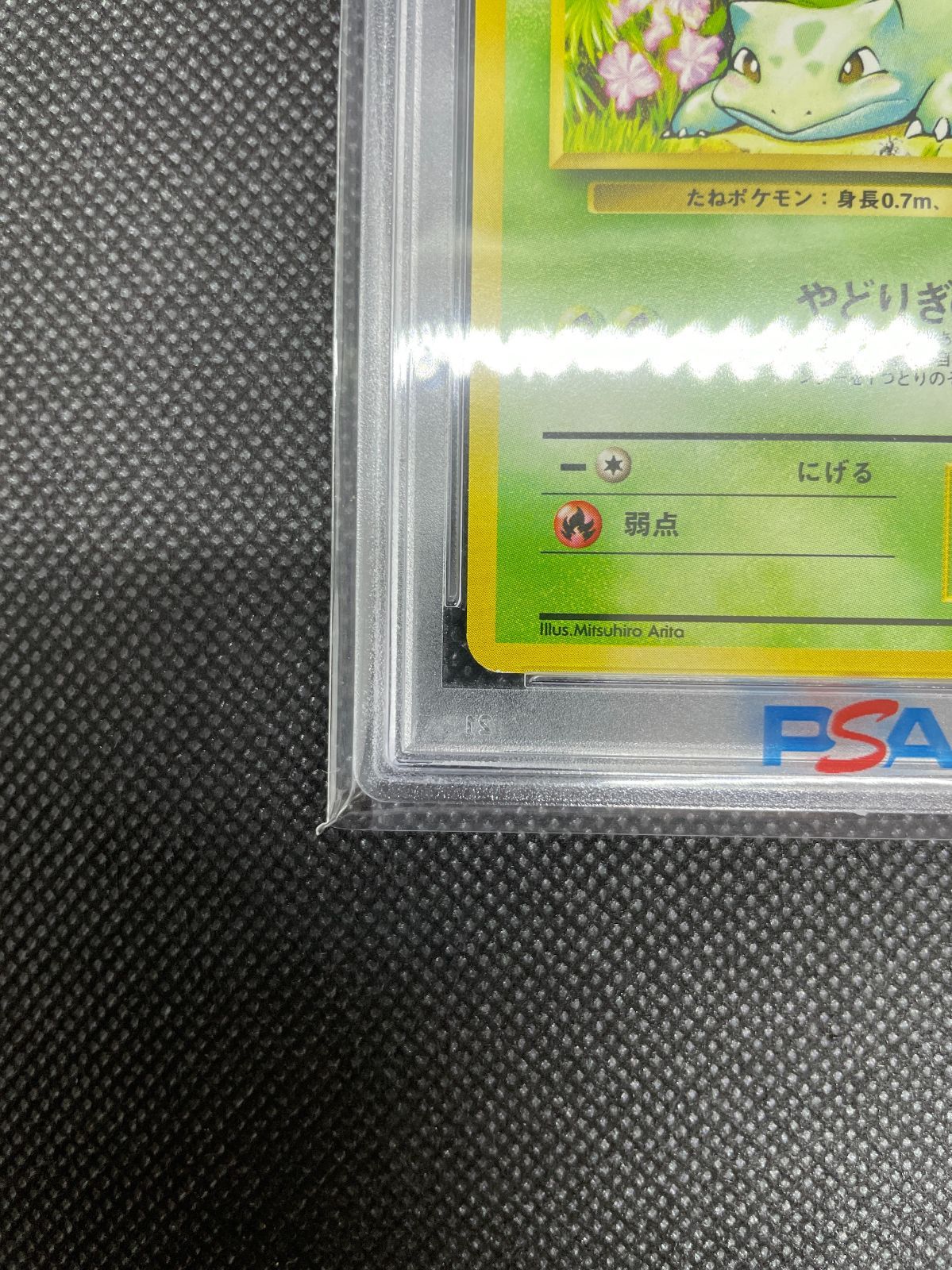 PSA鑑定品】旧裏 フシギダネ LV.13 PSA10 ポケカ - メルカリ
