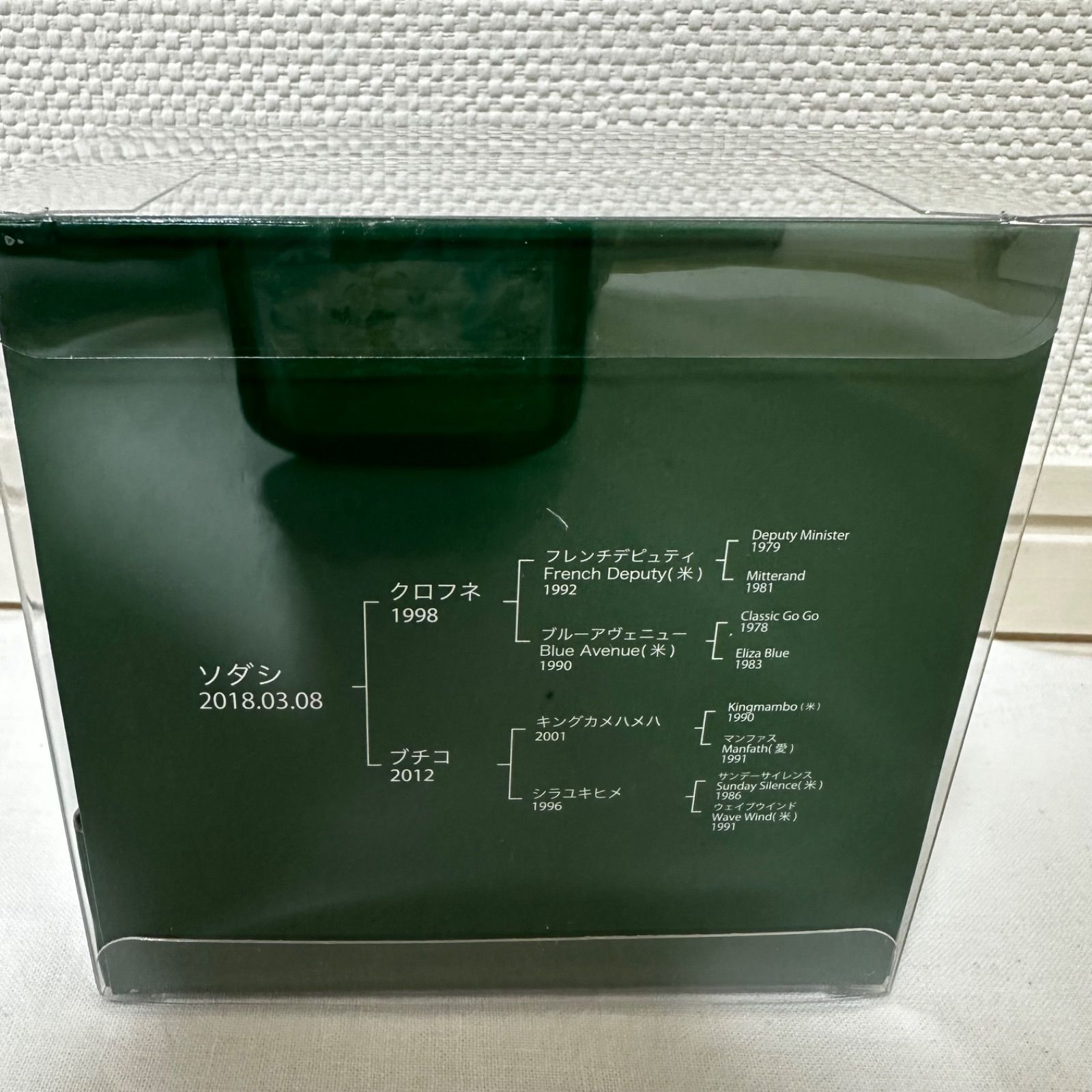 新品 ソダシ ホース フィギュア JRA ターフィー 競馬 グッズ - メルカリ