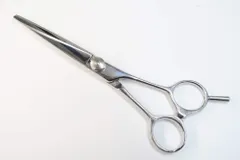 2026年最新】セニング サクシードの人気アイテム - メルカリ