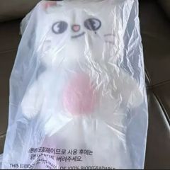 ボイネク ぬいぐるみ 10cm 新品 マスター PLAVE - メルカリ