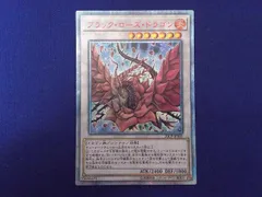 2026年最新】ブラックローズドラゴン 20thの人気アイテム - メルカリ