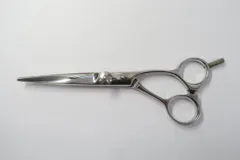 2026年最新】セニング サクシードの人気アイテム - メルカリ