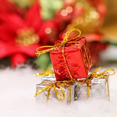 HEALTHY 6103-CALYPSO-S クロスボディSサイズ 並行輸入品 - メルカリ