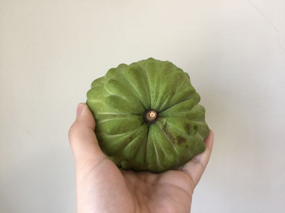 今話題の高級台湾フルーツ「鳳梨釋迦（アテモヤ）」ってどんな味