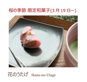 桜咲く美術館 ー「奥村土牛《醍醐》の桜」開花と関連情報のご案内ー