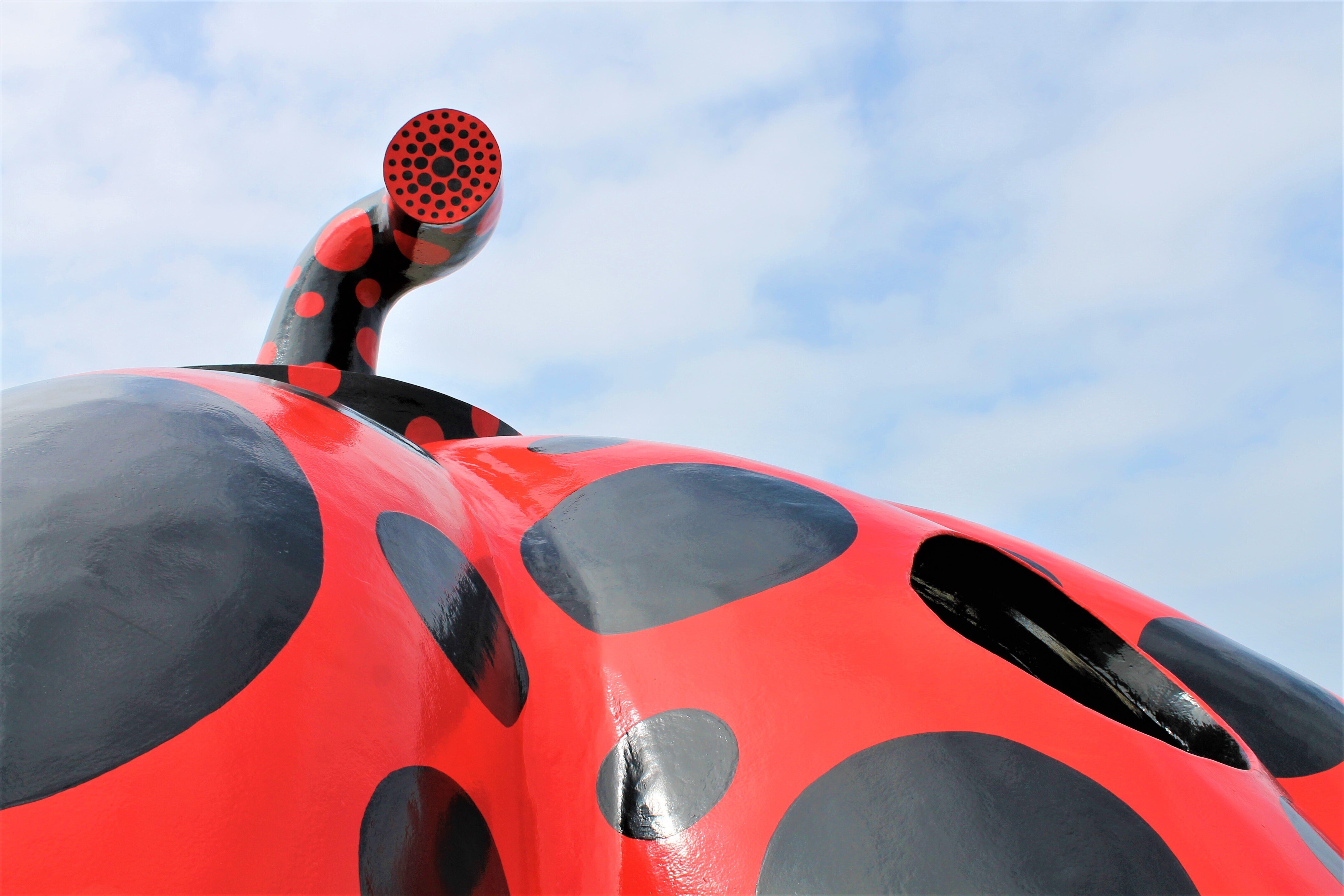 草間彌生「赤かぼちゃ」(直島)の中に独り佇み、世界を眺めた朝｜Abbey