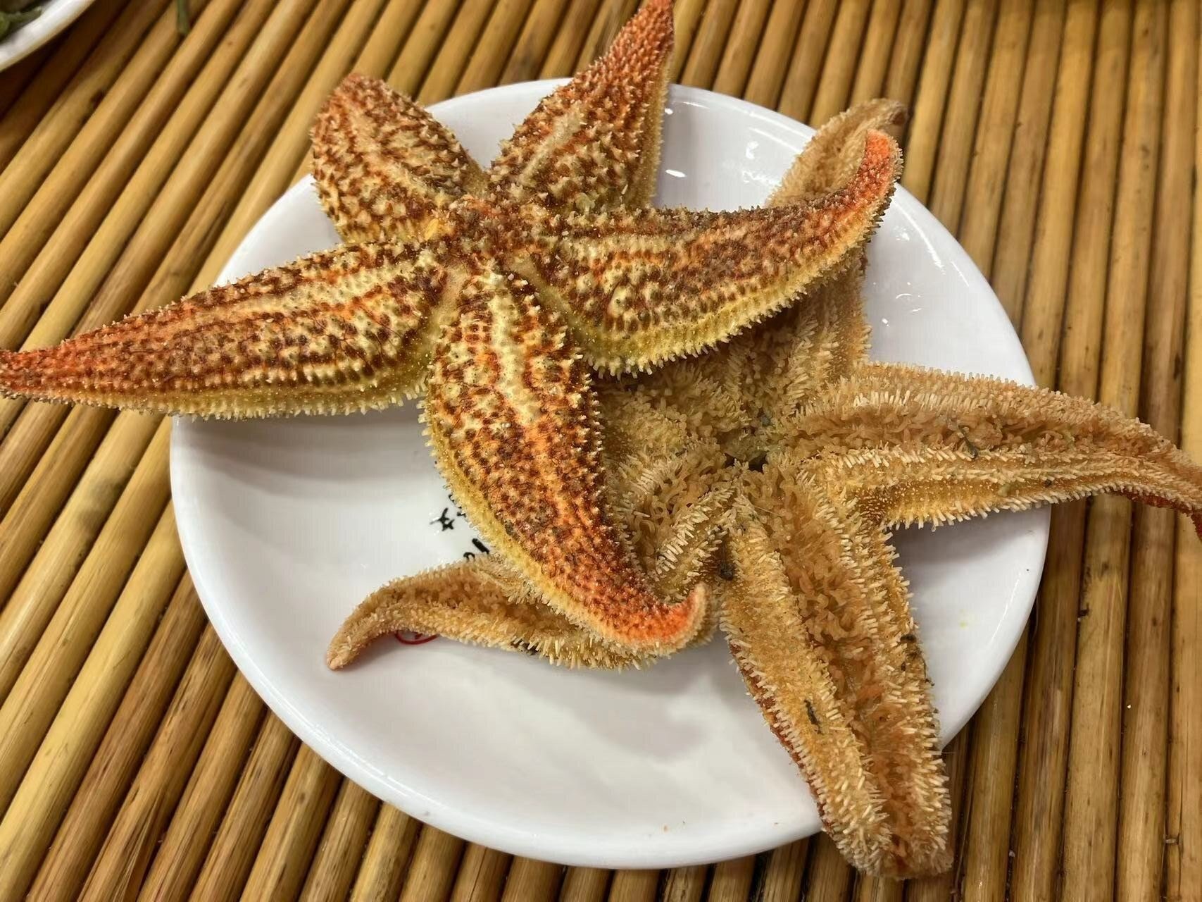 海鮮の街 青島で「ヒトデ」を食べてみた⭐️【中国滞在記】｜小羊