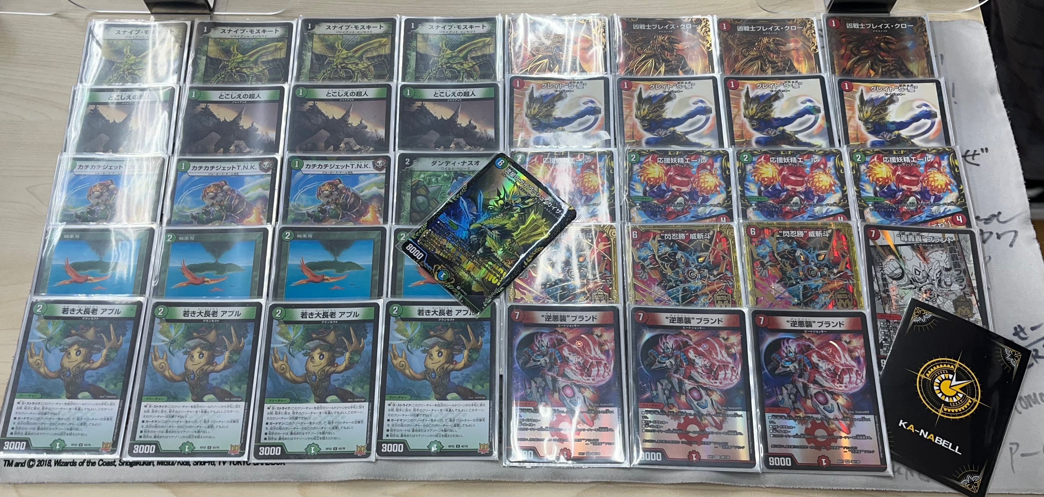 1675914215300-iyyYP8UJlR.jpg?