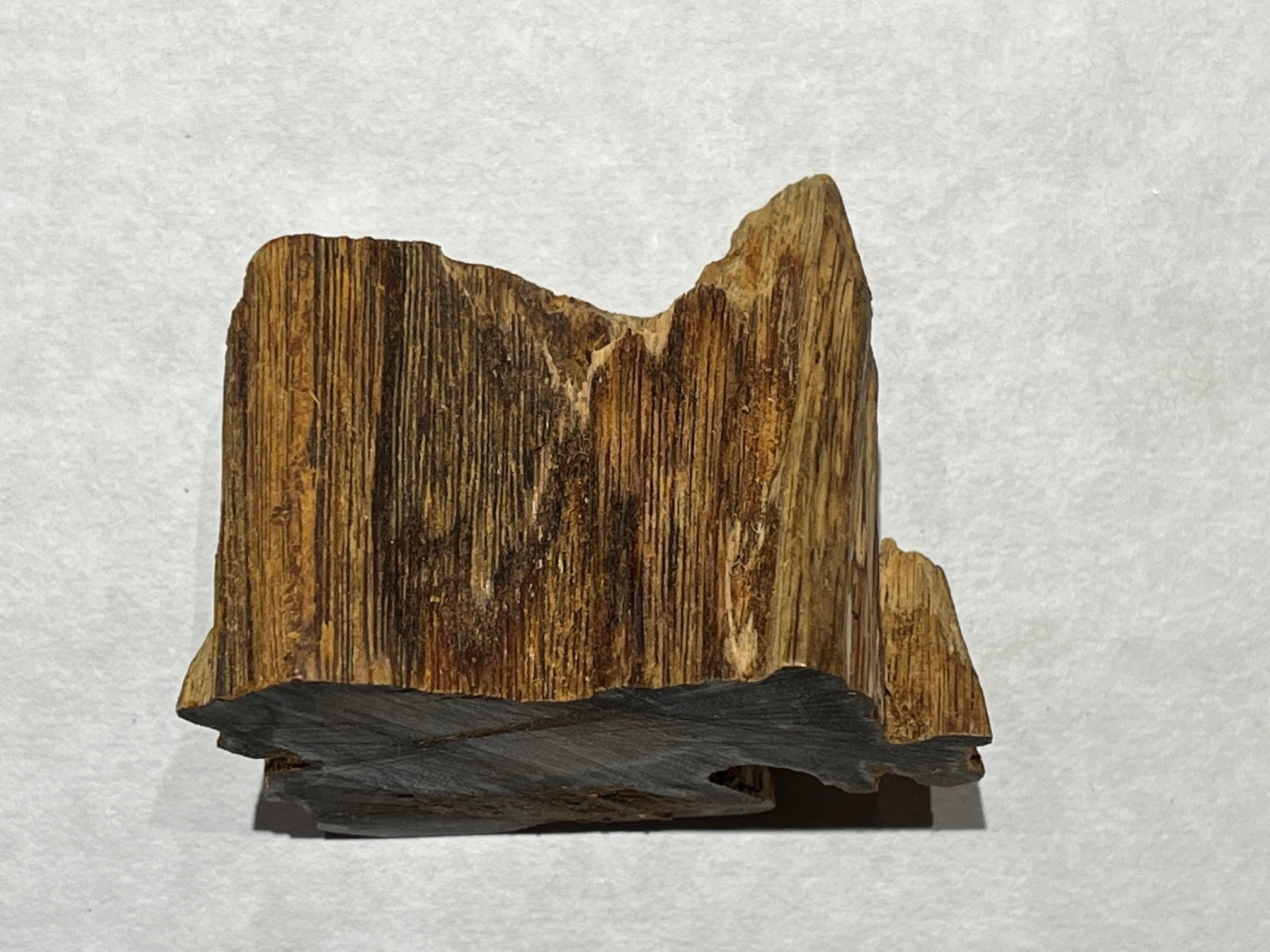 5月の推奨香木は、堂々たる緑油伽羅♪｜山田眞裕（麻布 香雅堂 主人）