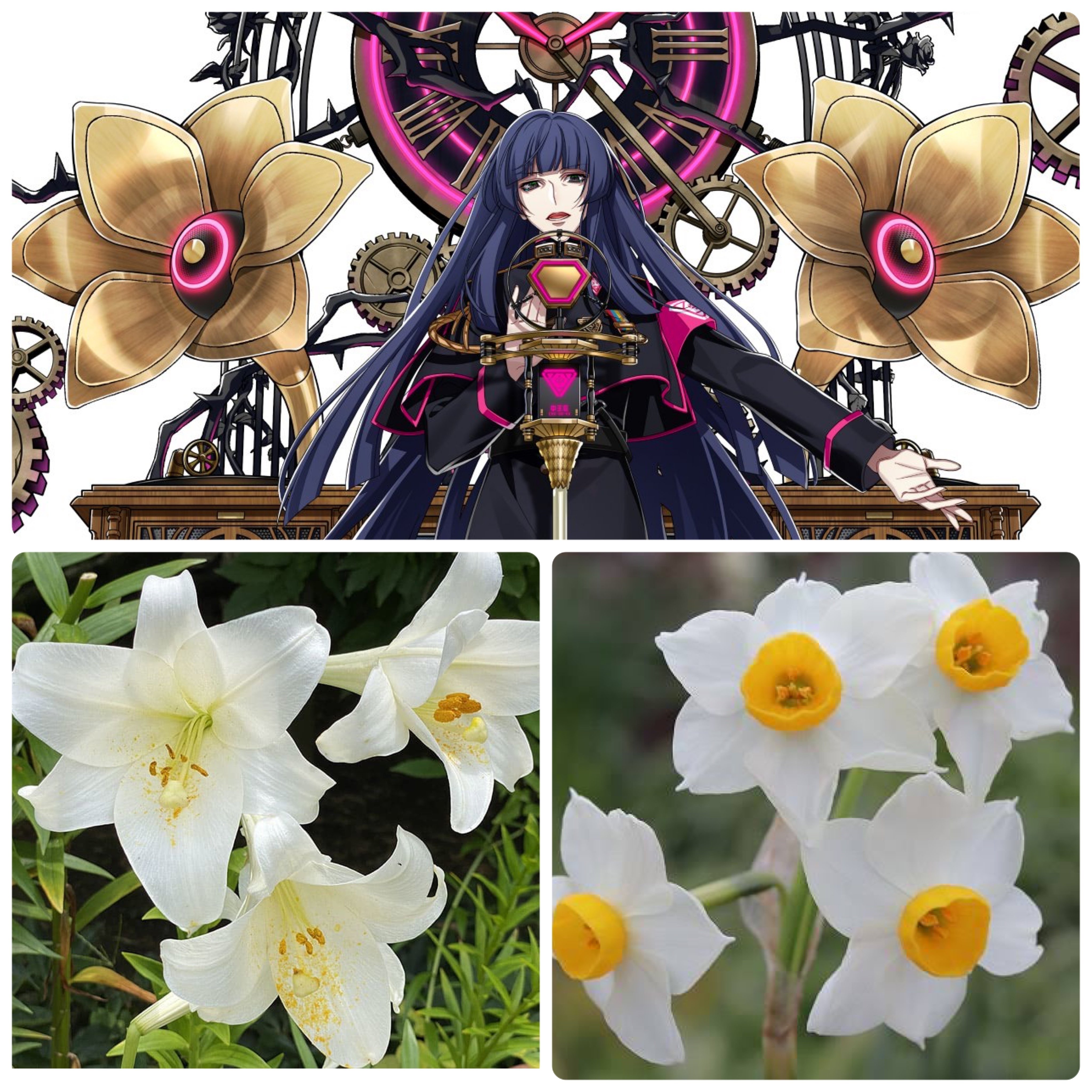 東方天乙統女について考察｜愛須ミント🍨