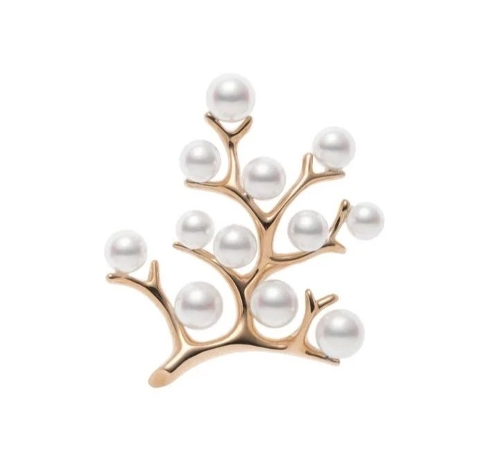 ミキモトの幸運の木流行りすぎ｜にゅ