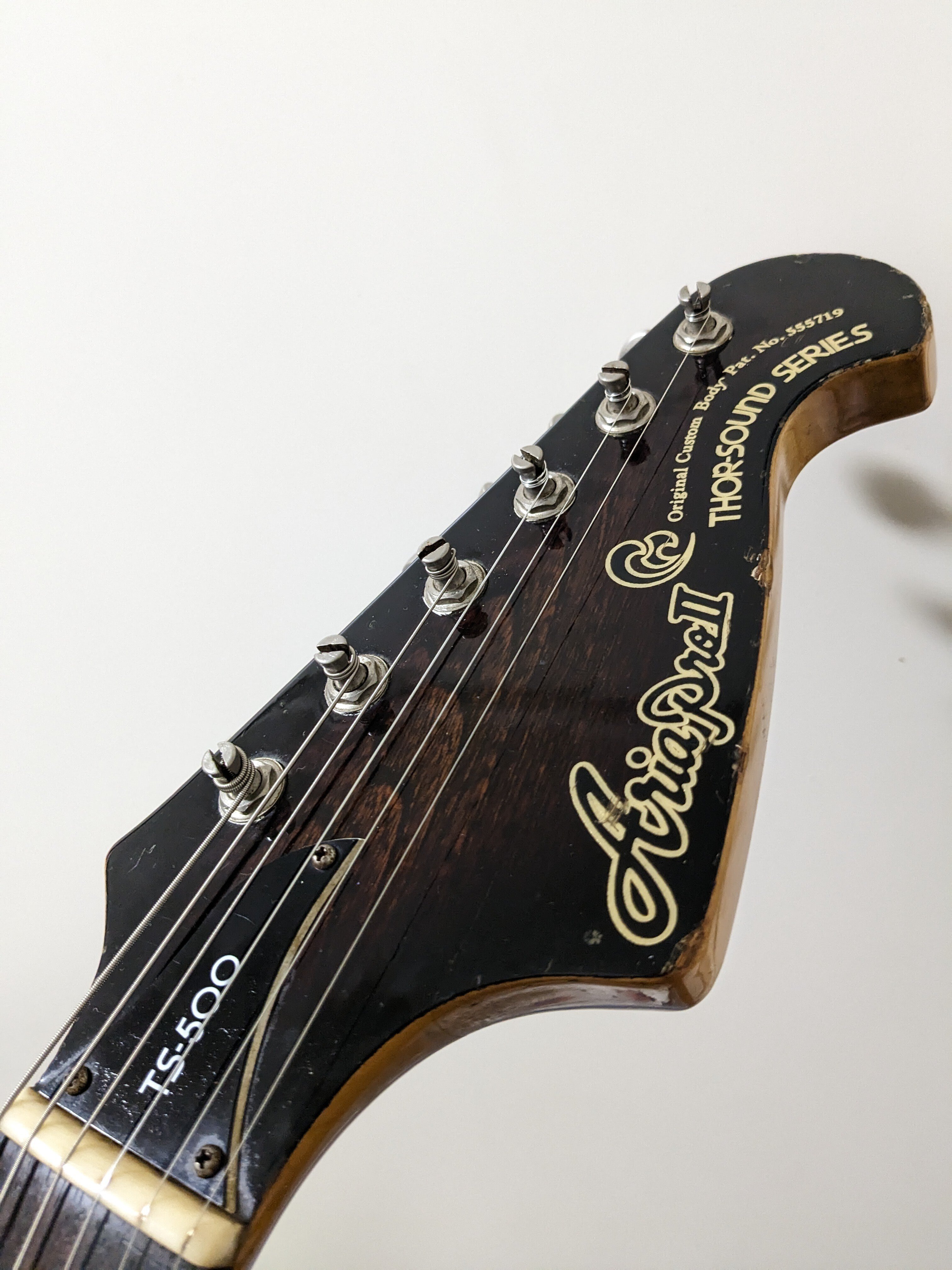 Aria ProⅡ TS-500（改）｜ボーンアンドスキンA