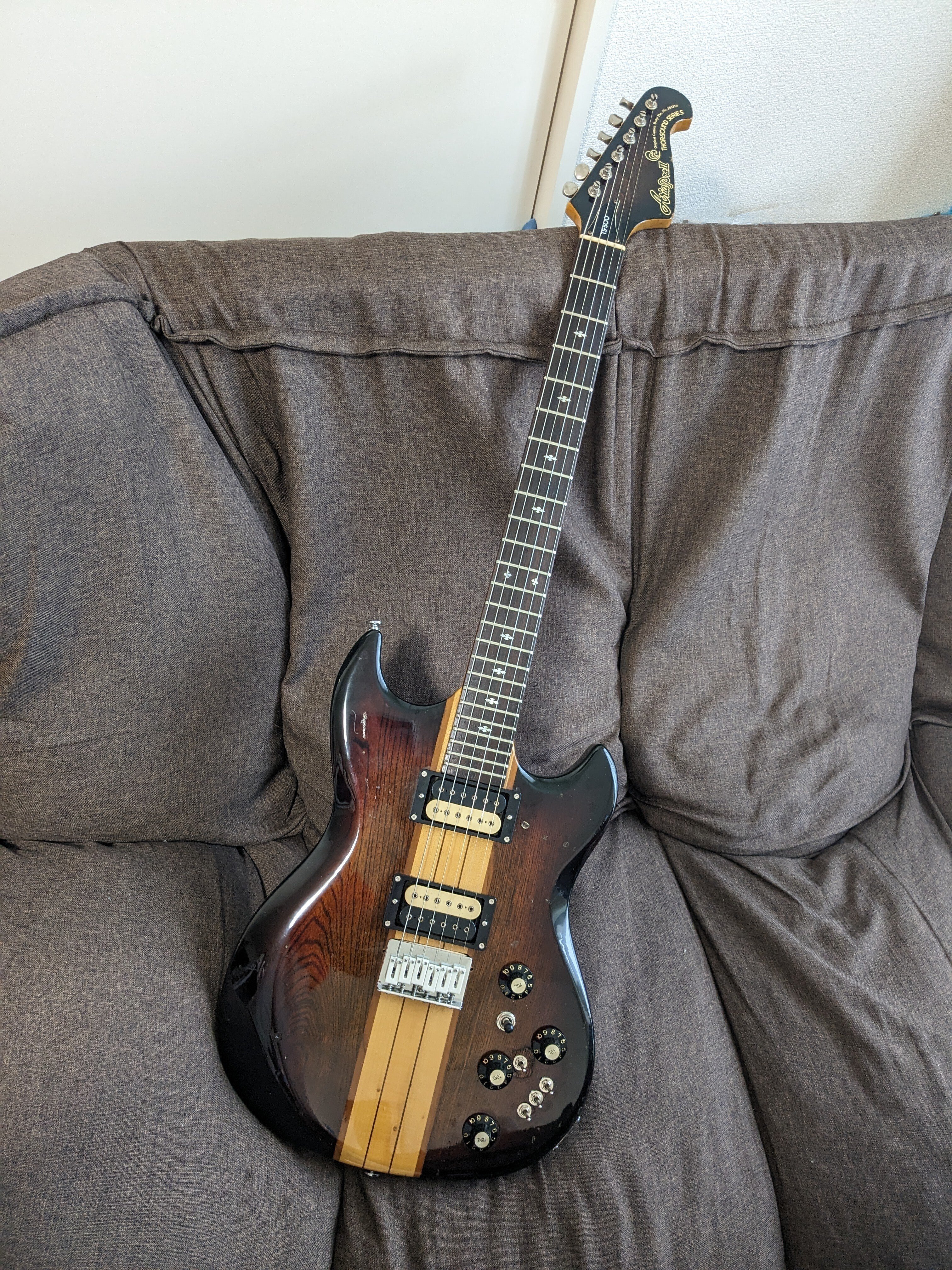 Aria ProⅡ TS-500（改）｜ボーンアンドスキンA