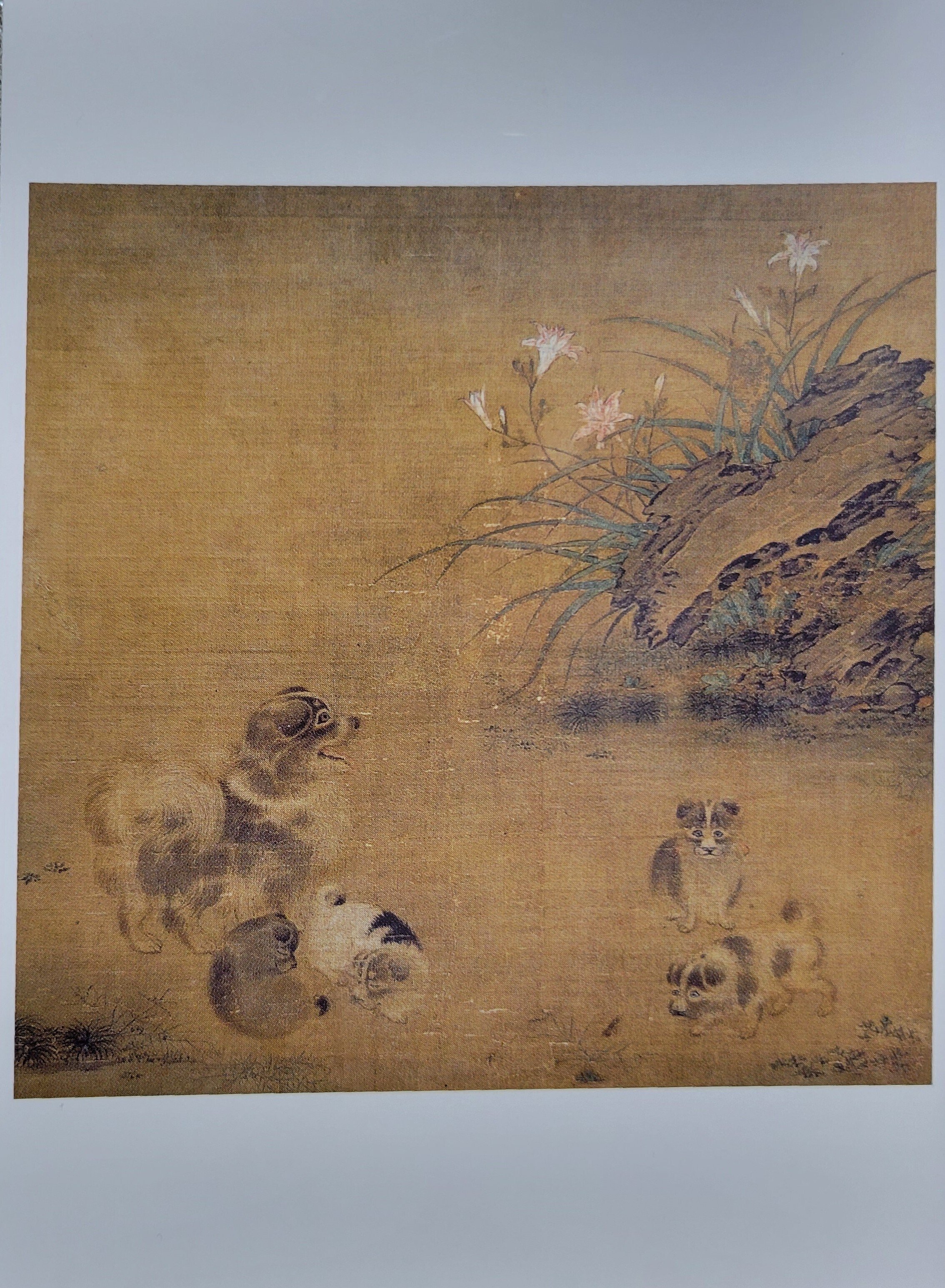 奈良・大和文華館「いぬねこ彩彩」東アジアの犬と猫の絵画｜藤井靜子