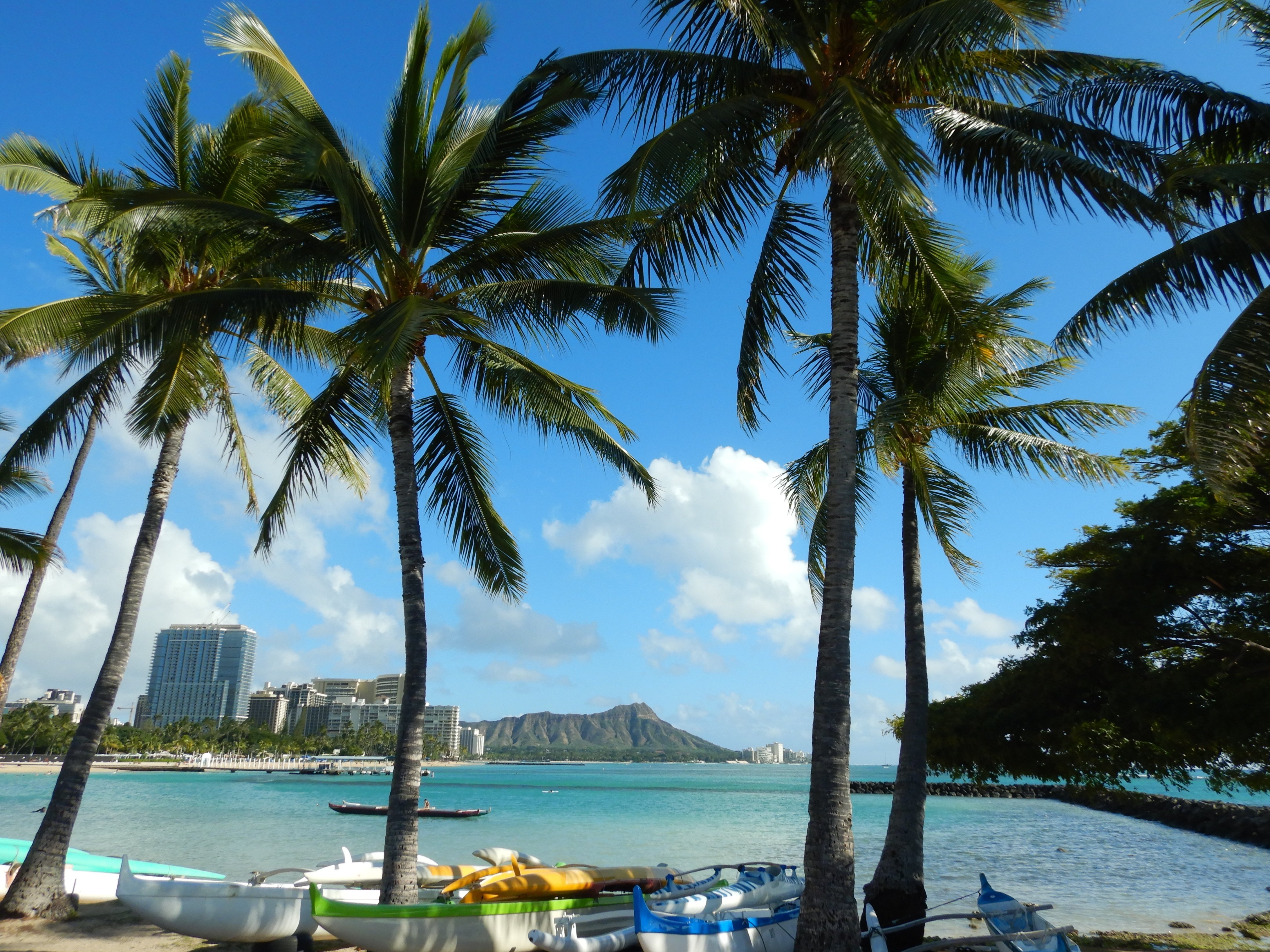 ダイヤモンドヘッド三十六景｜Susie@Honolulu, Hawaii