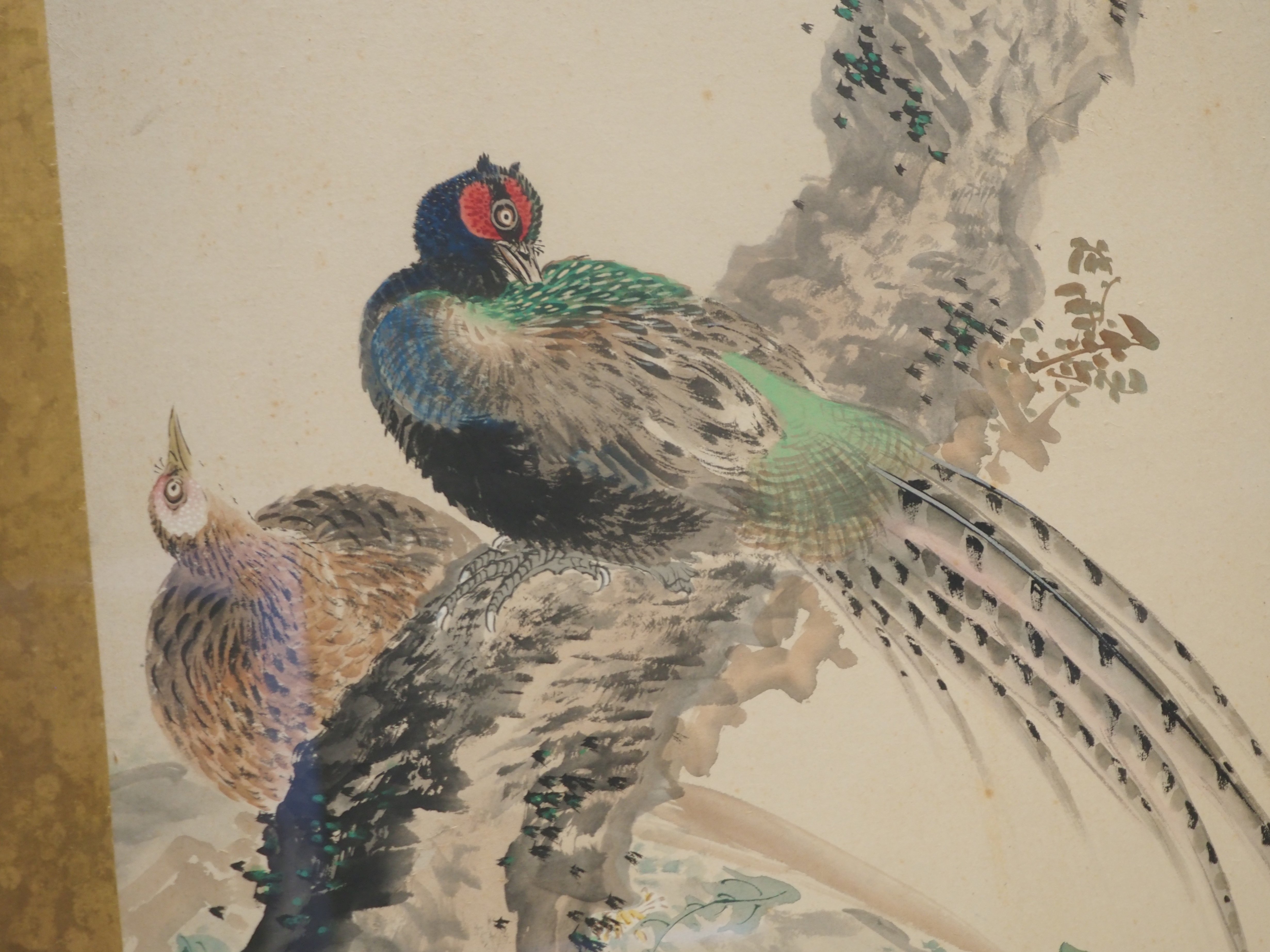 江戸時代の図譜と岡本秋暉の《四季花鳥図屏風》｜かわかわ