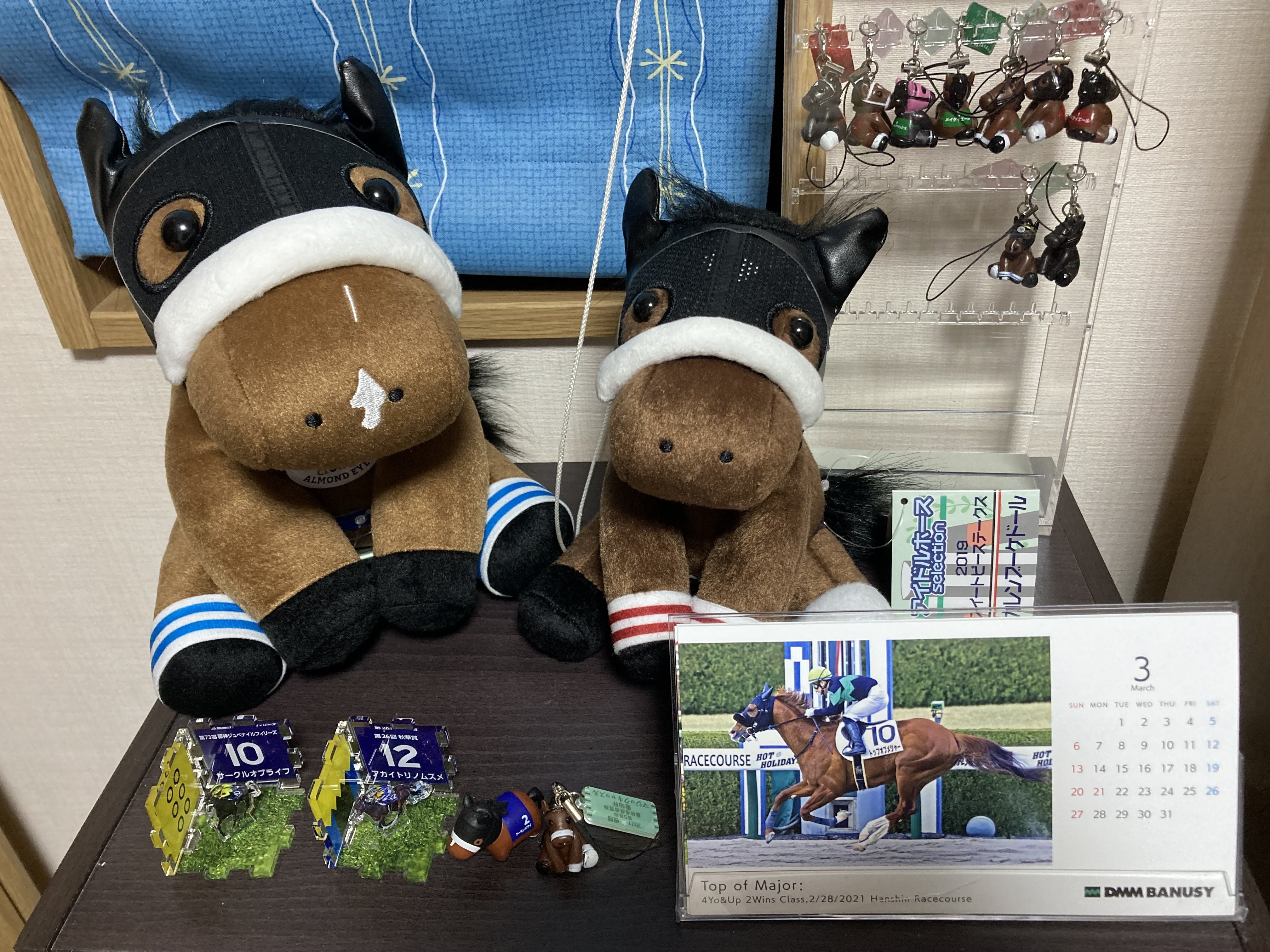 ブケぬいを連れ回す｜はね田