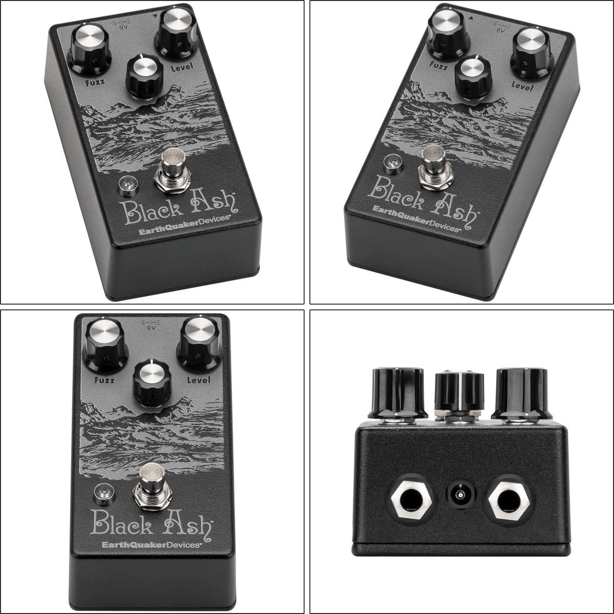 名器アースクエイカーデバイセス「ブラック・アッシュ」が日本のみで