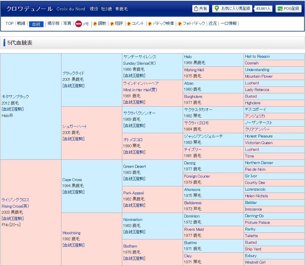 血統分析】クロワデュノールの活躍から見るキタサンブラック産駒成功の