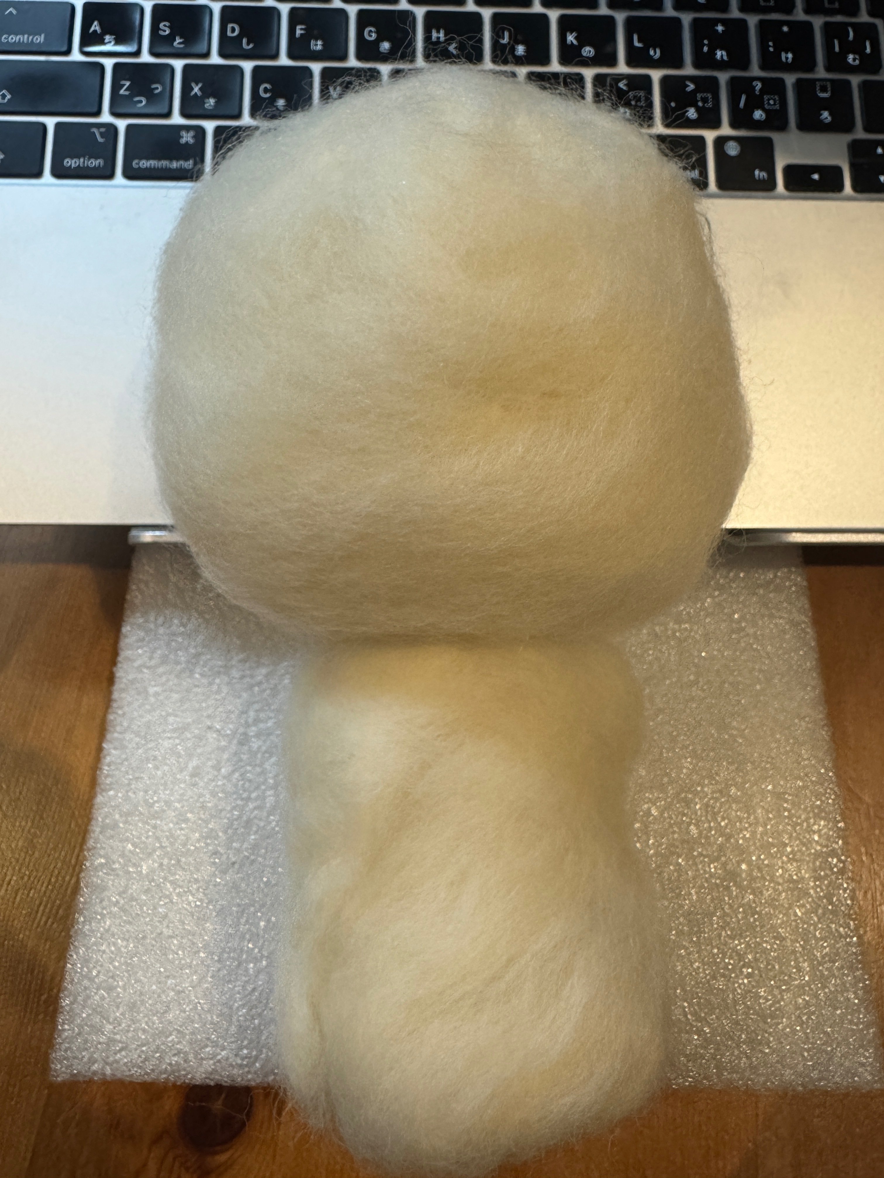 NEXZOOついに発売！！｜ソロシニアライフ