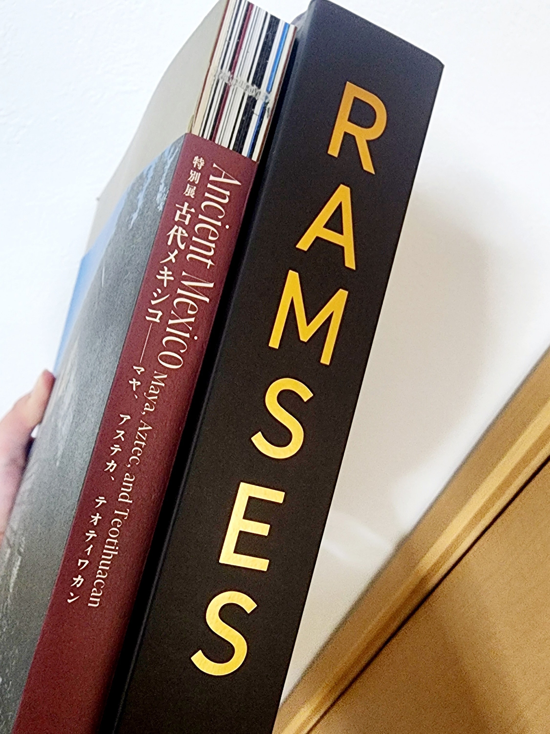 ラムセス大王展』に行ってきた｜入須間