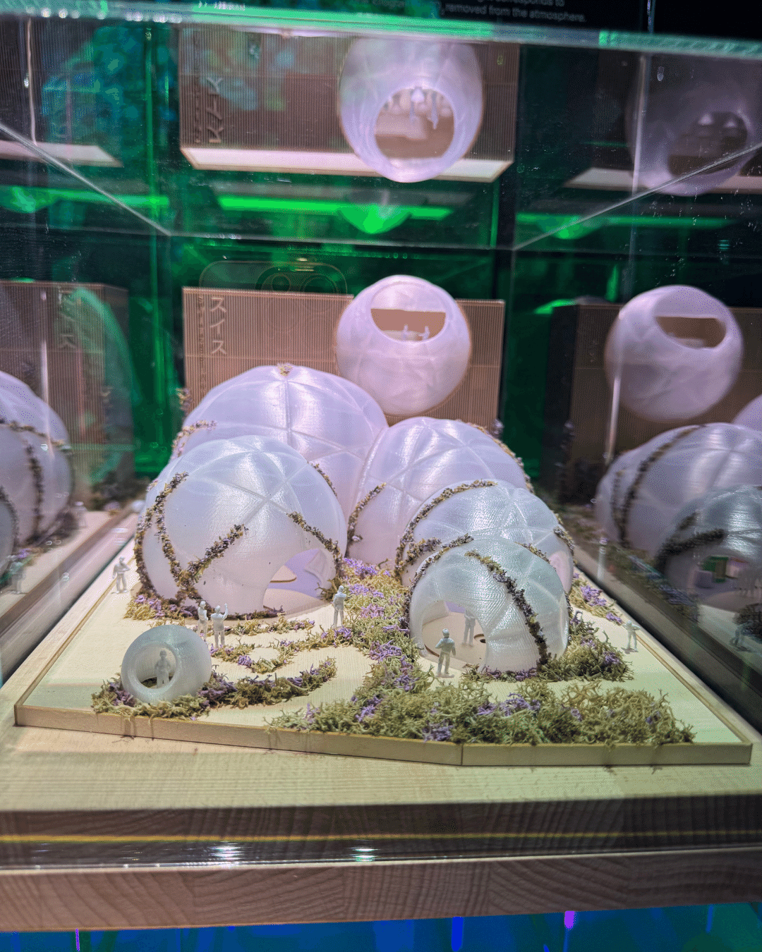 EXPO 2025 大阪・関西万博」採用ワイン – Alcotrade Trust