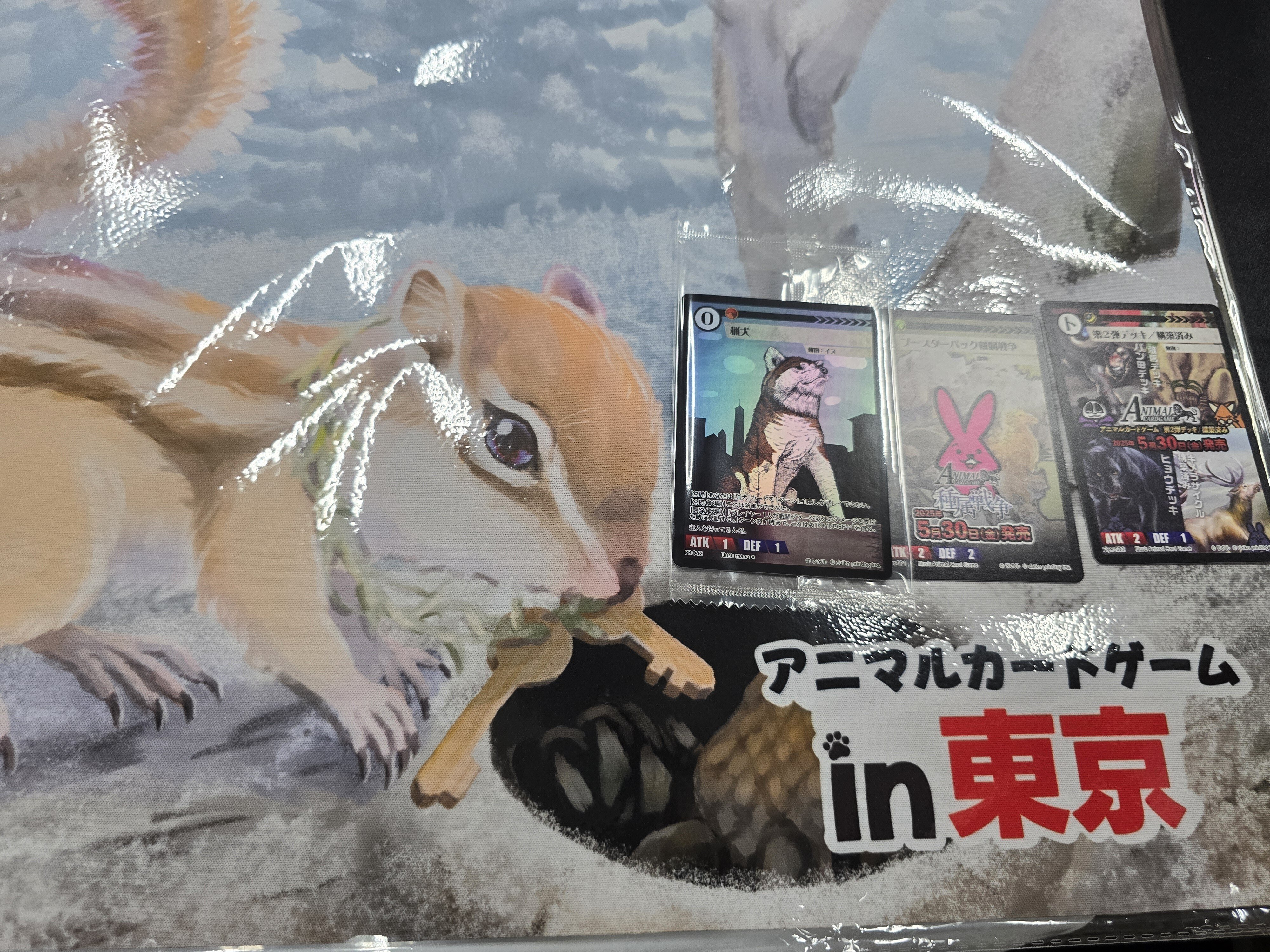 アニマルカードゲーム ファンミ2025東京参加日記｜かぼ