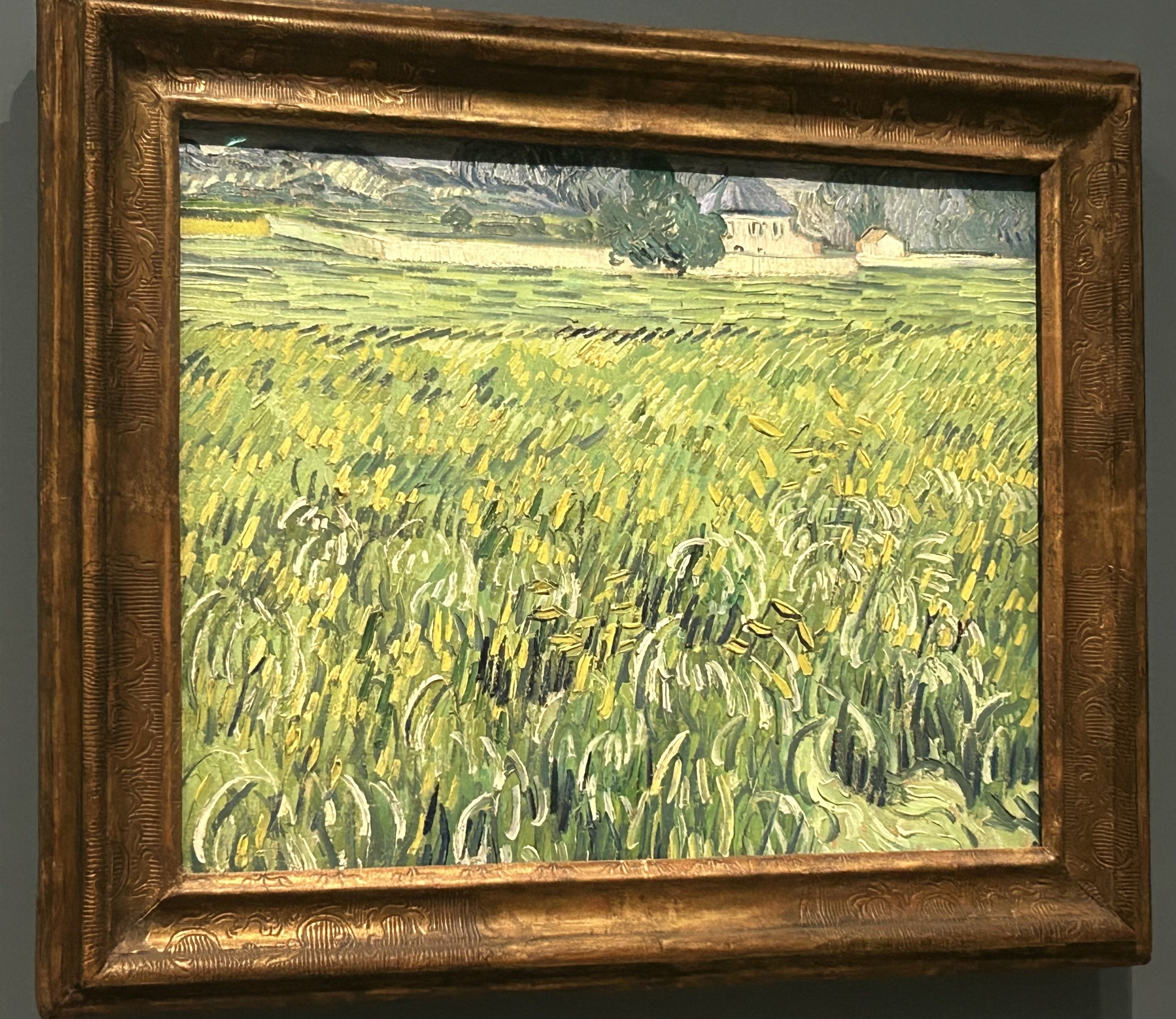 子供のためのオルセー美術館(216)麦畑のひとつの花/ゴッホ・キッチン