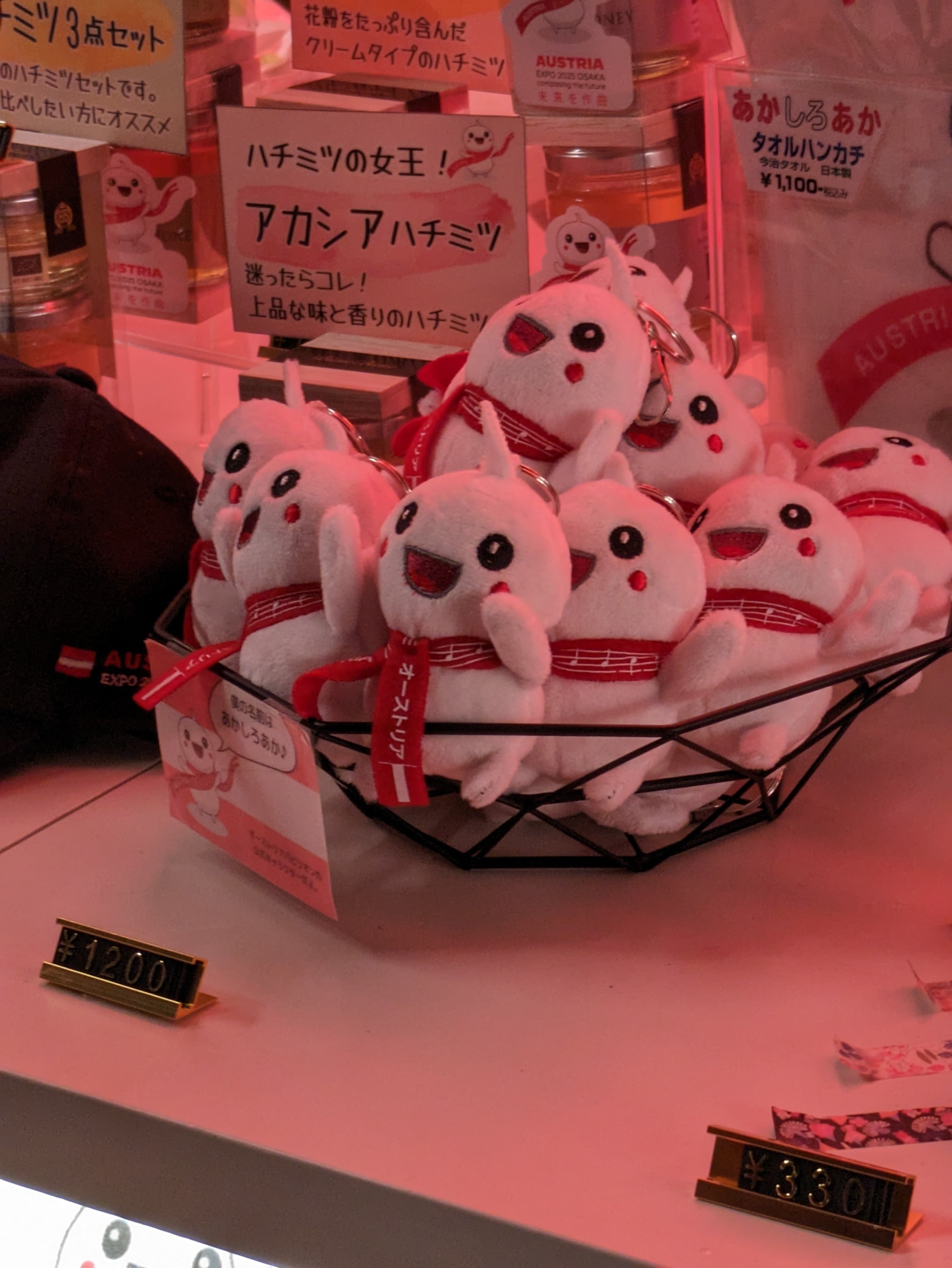 大阪・関西万博】オーストリアパビリオンは音楽に癒される空間！｜朱月