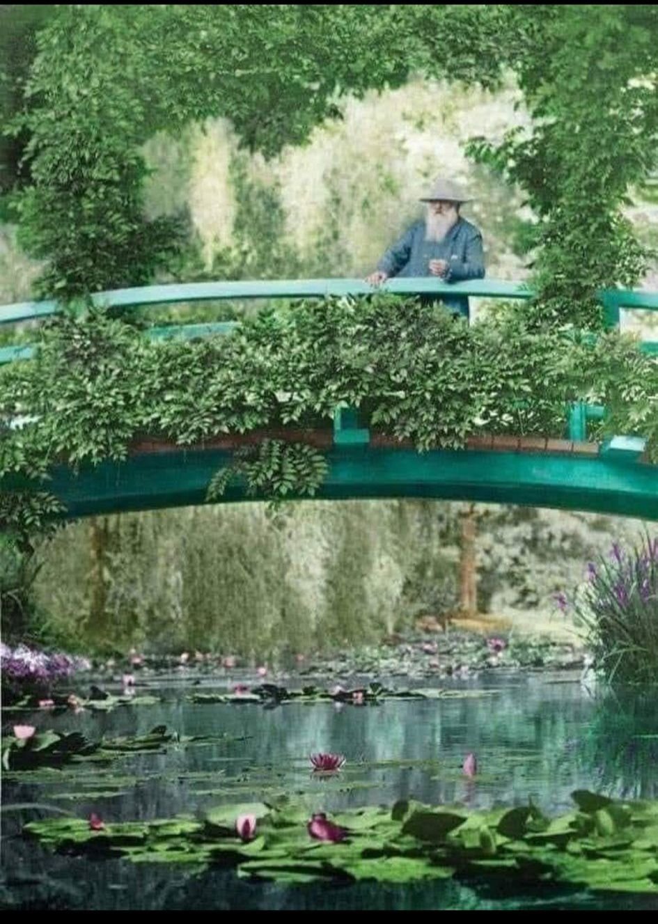 日本様式の太鼓橋から睡蓮を眺めるクロード・モネ」