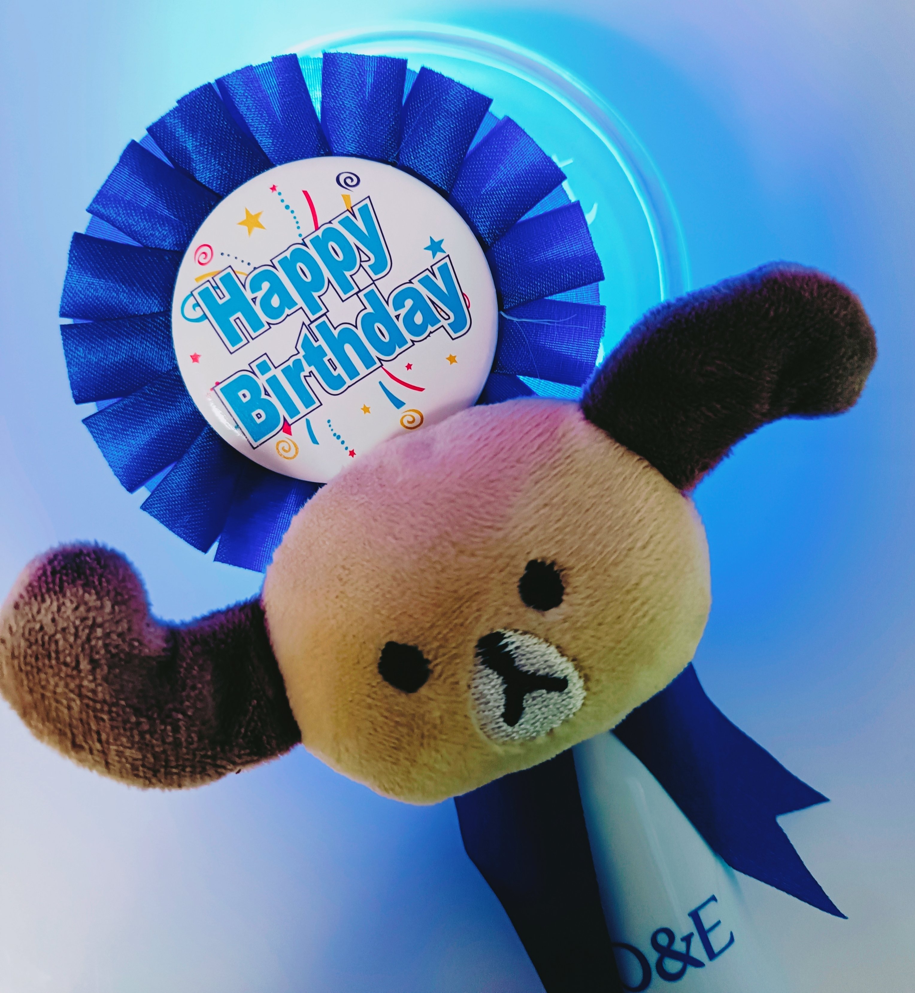 2025.11.8 SUPERJUNIOR ドンヘ Day of Happiness 생일イベント🎂＠大阪