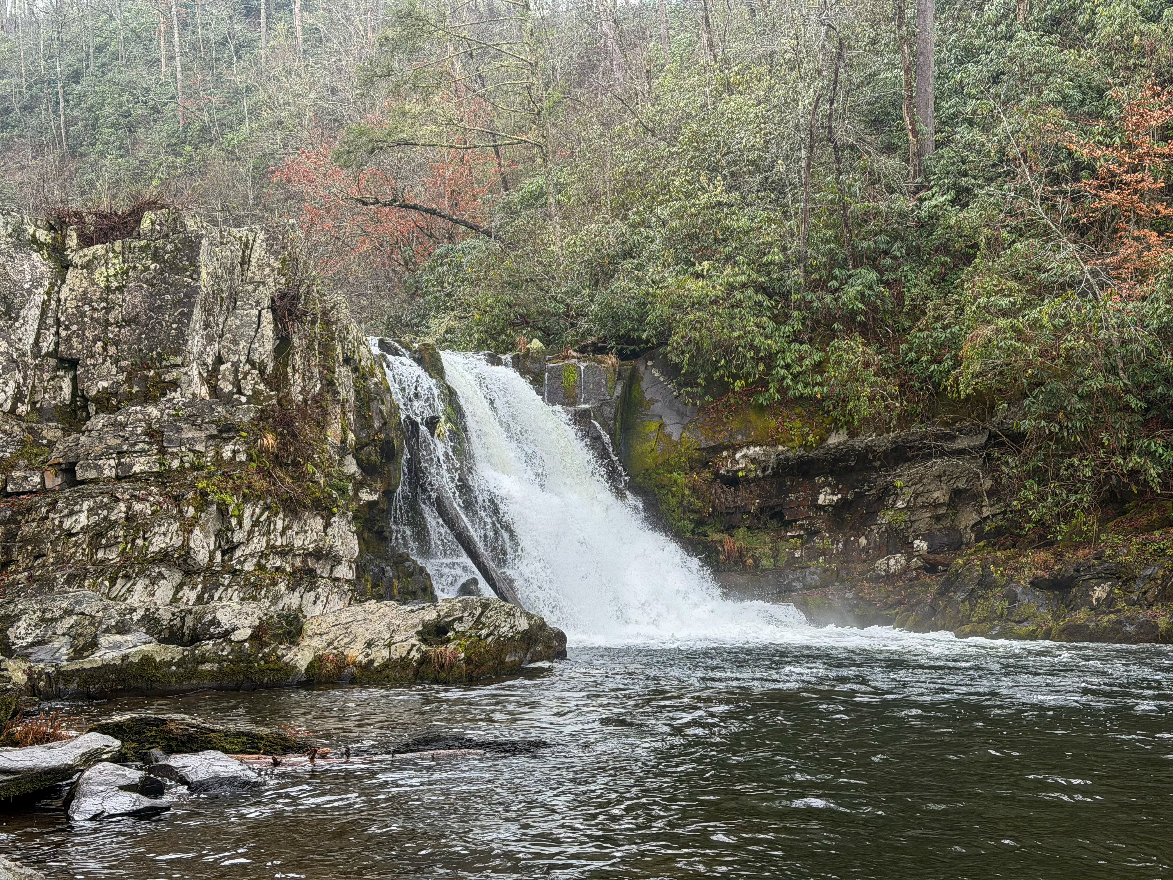 桁違いのグレートスモーキー山脈国立公園｜Katsuya Shiratori