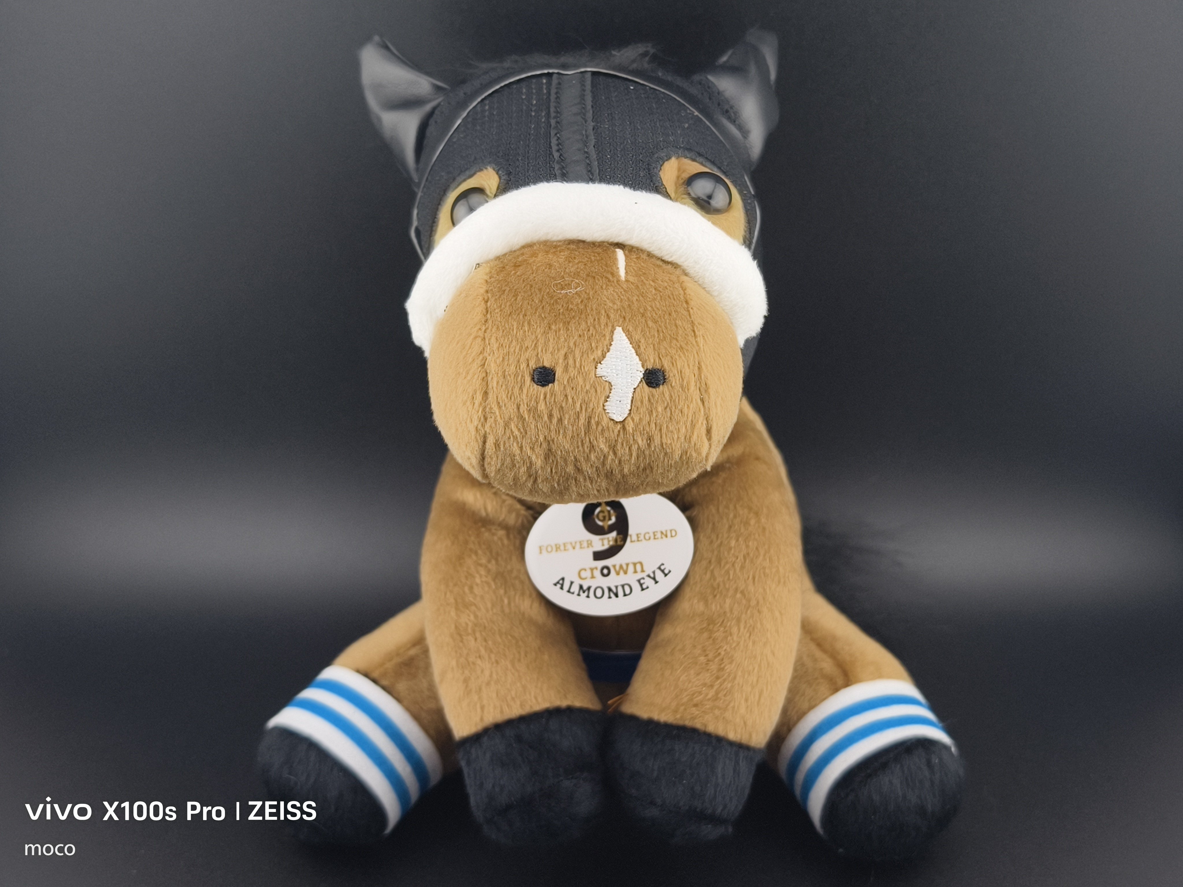 アイドルホースはいいぞ‼️｜mocoブログ