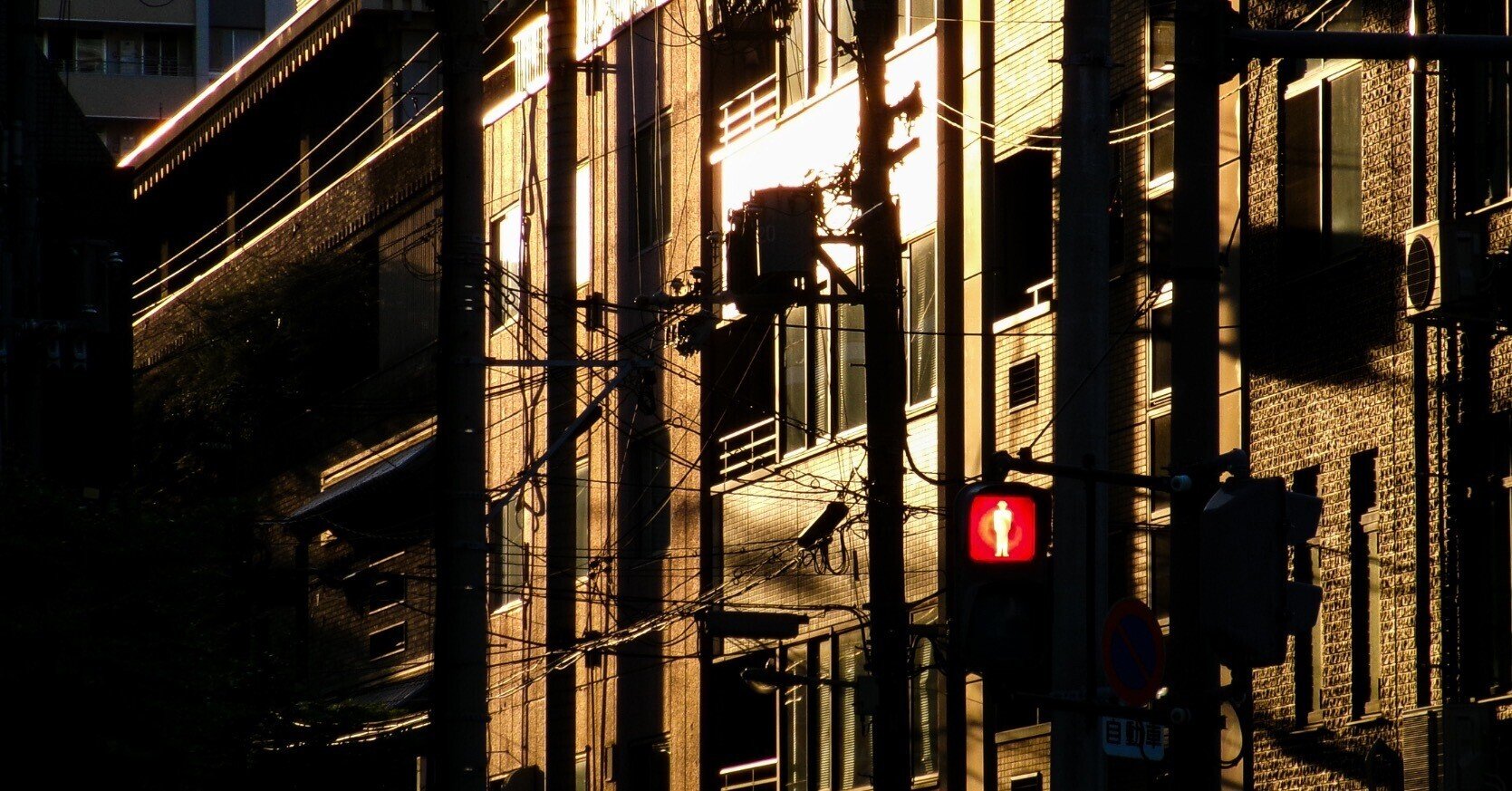 Photo Diary #4 -FZ55作例-｜唯野みりん