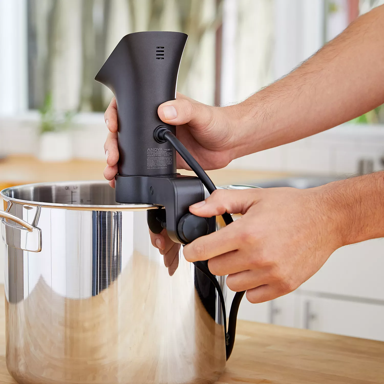 Anova Precision Cooker PRO | Sur La Table