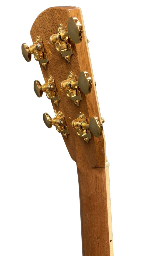 ツリーオブライフ - ASTURIAS