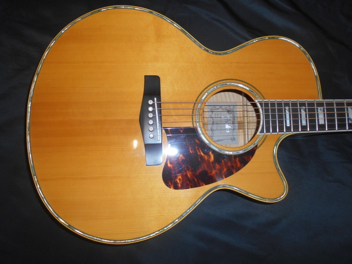 レアなフェンダーのアコギ】Fender AS-1/USED | あぽろん | 新潟の楽器