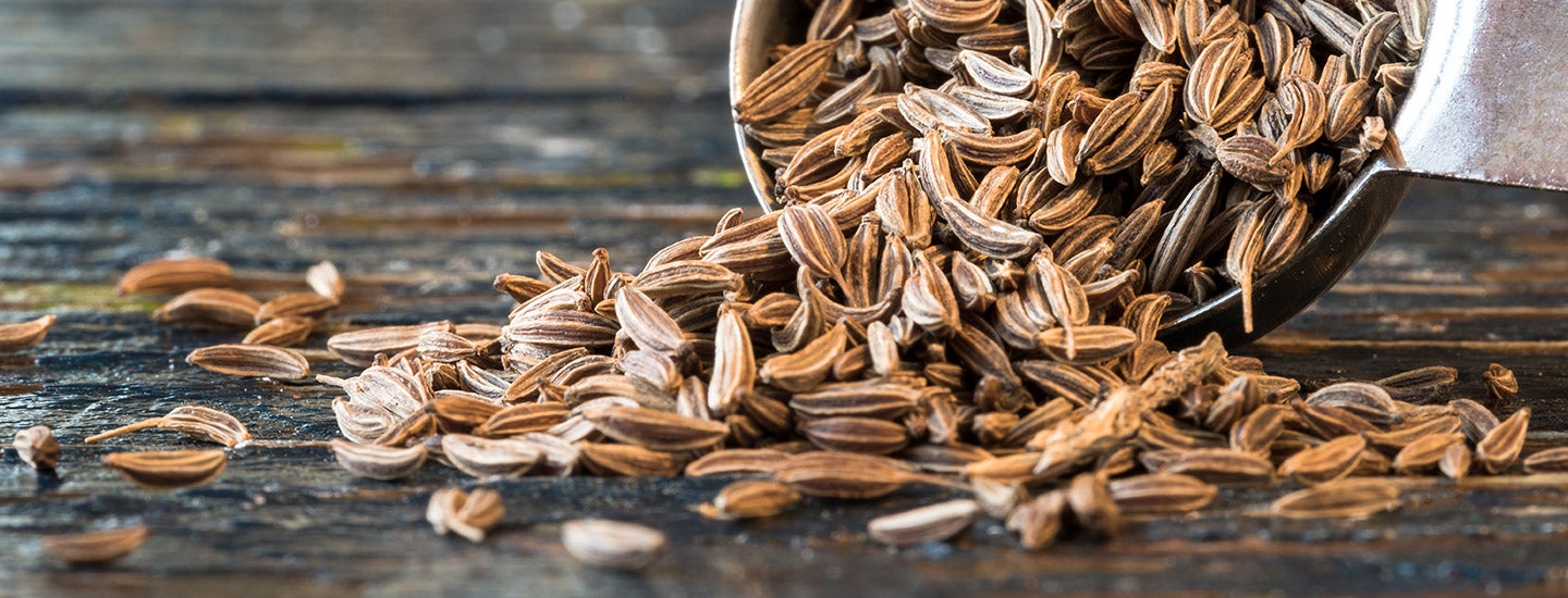 ポケッタブルスケール GRAMIL KP-130L | タニタオンラインショップ