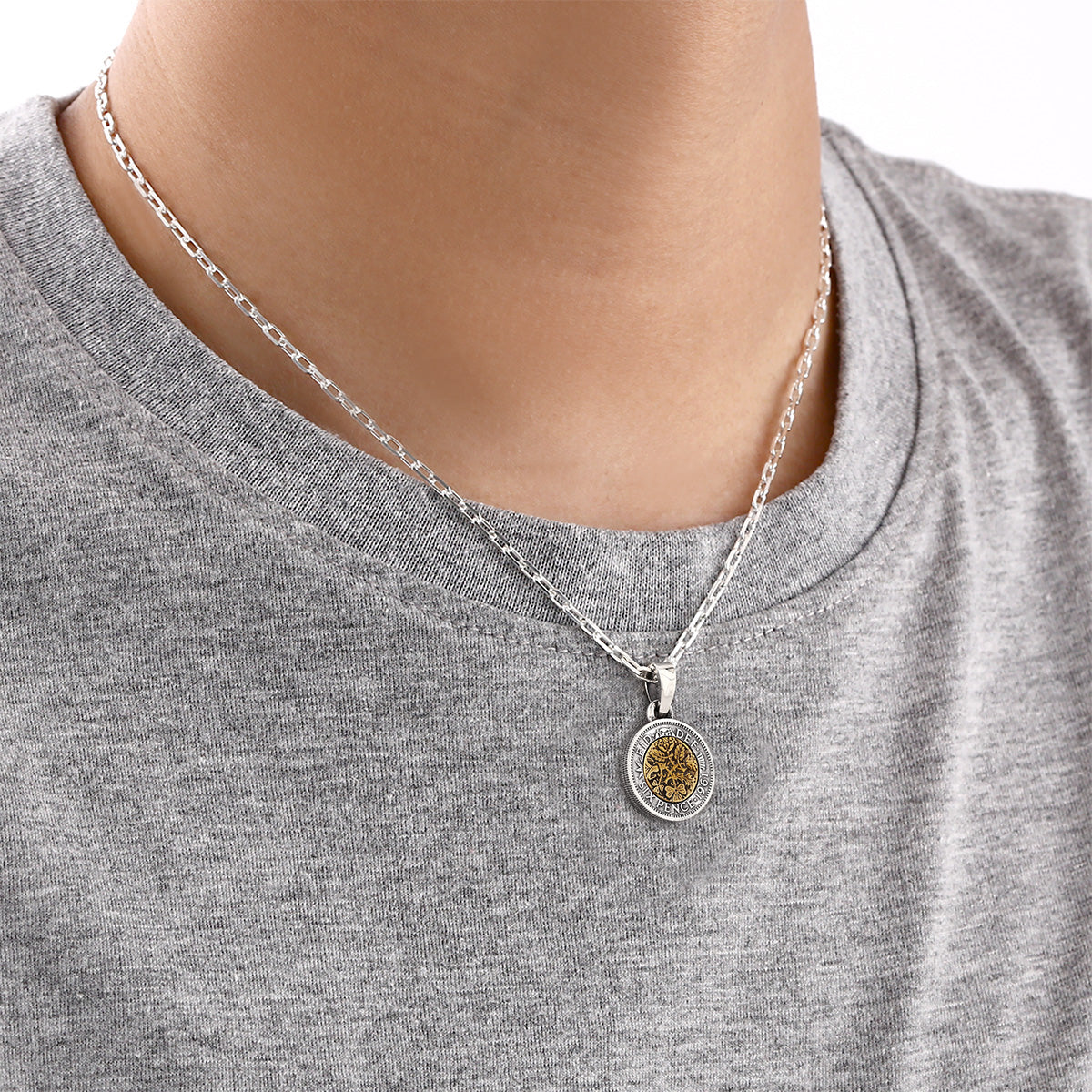 幸せのシックスペンスコイン・リボルブネックレス (ASP-186BRF-C-059