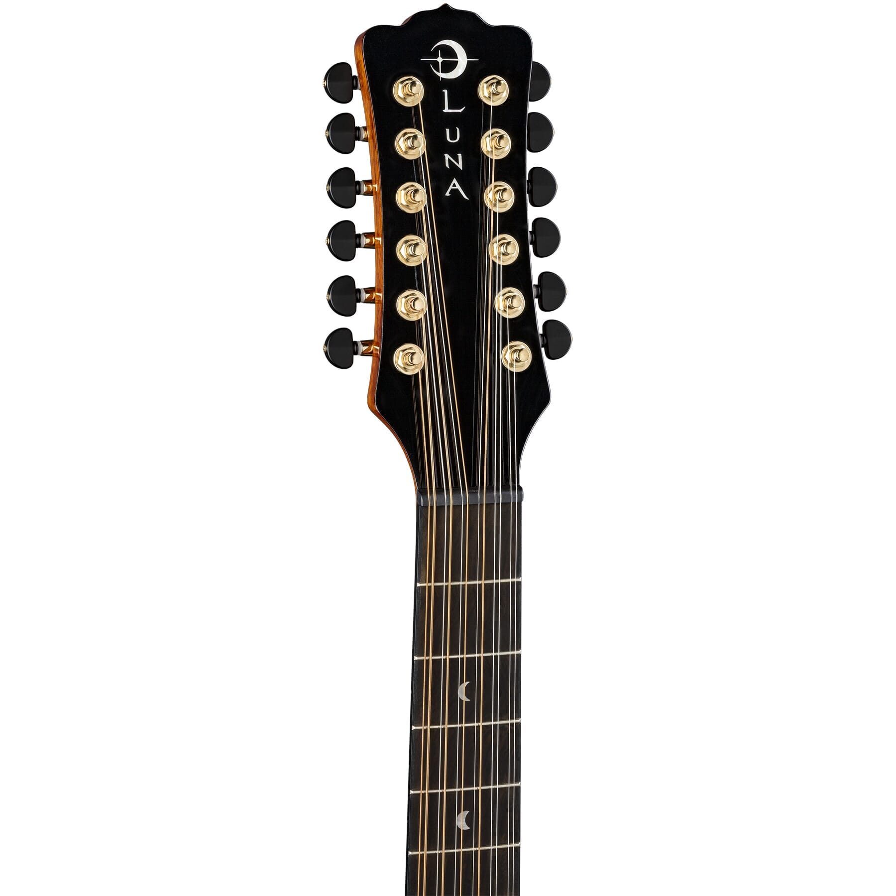 VISTA EAGLE 12-STRING CUTAWAY A/E WITH HARDSHELL CASE
